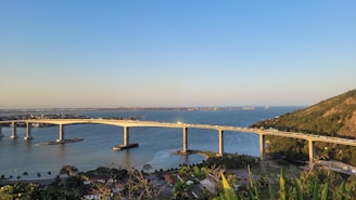 A large bridge spanning over a large body of water
