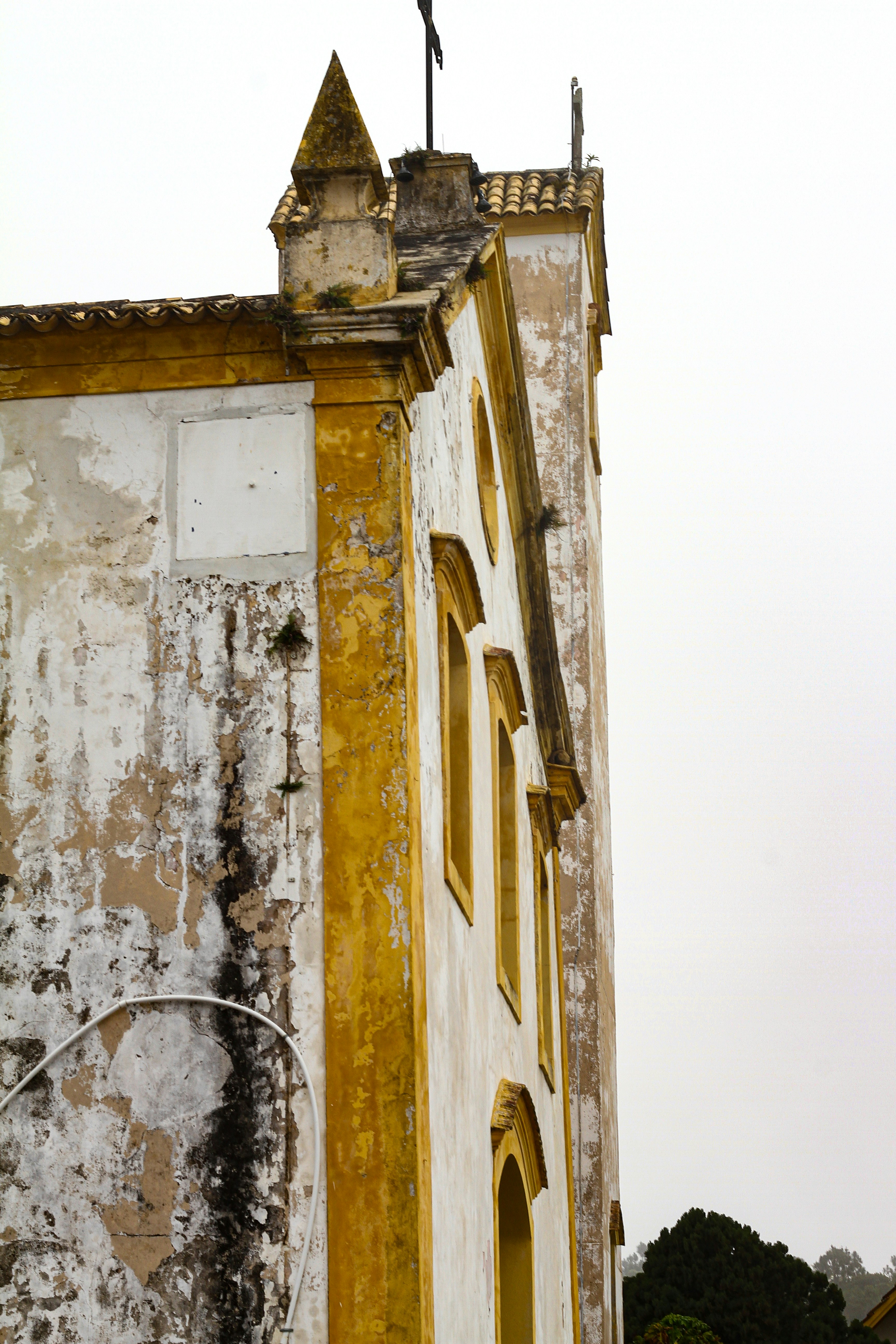 Photo by najoi_designer