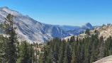 A view of a mountain range with trees in the foreground