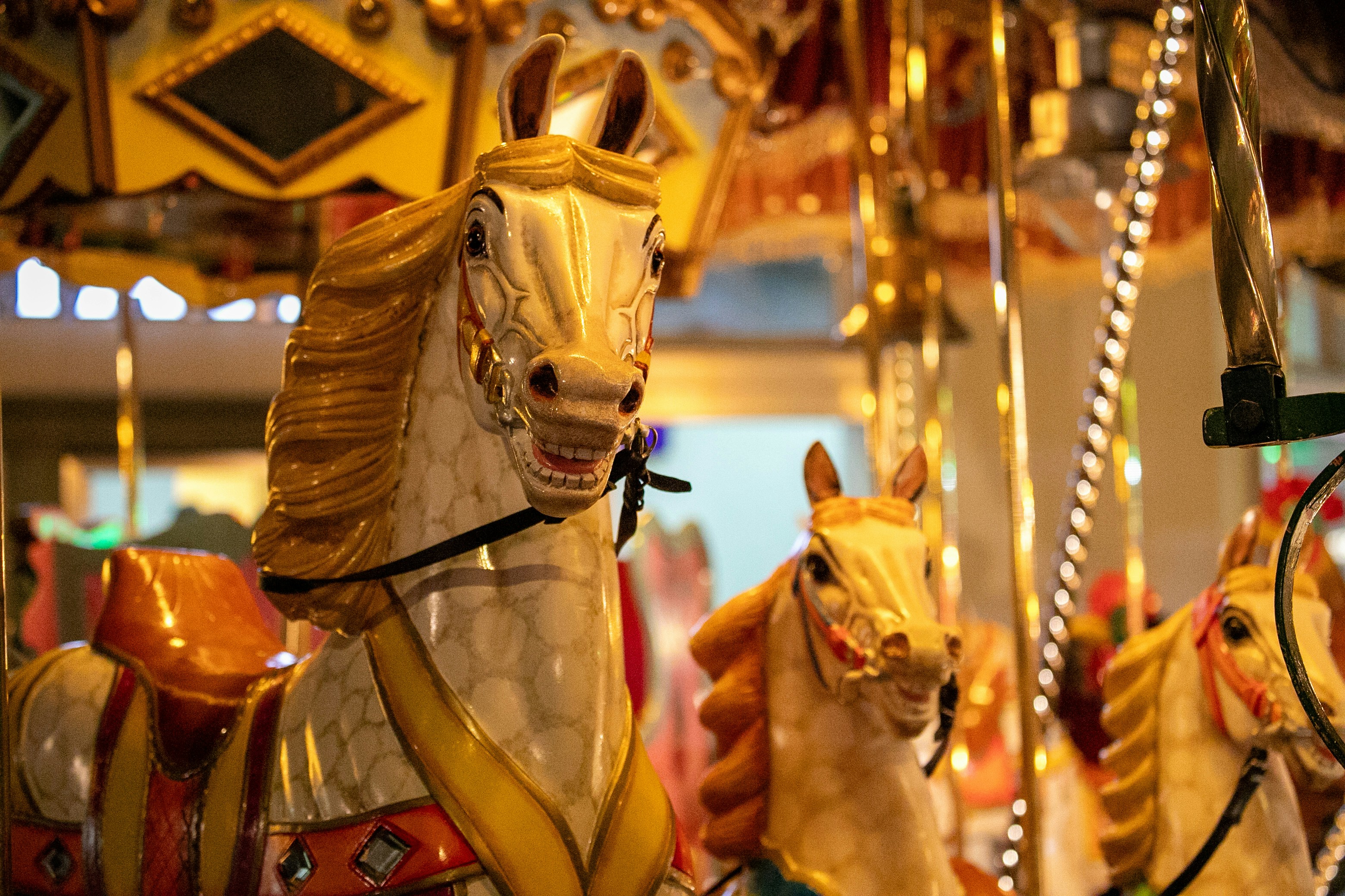 Photo by sturmschwalbe