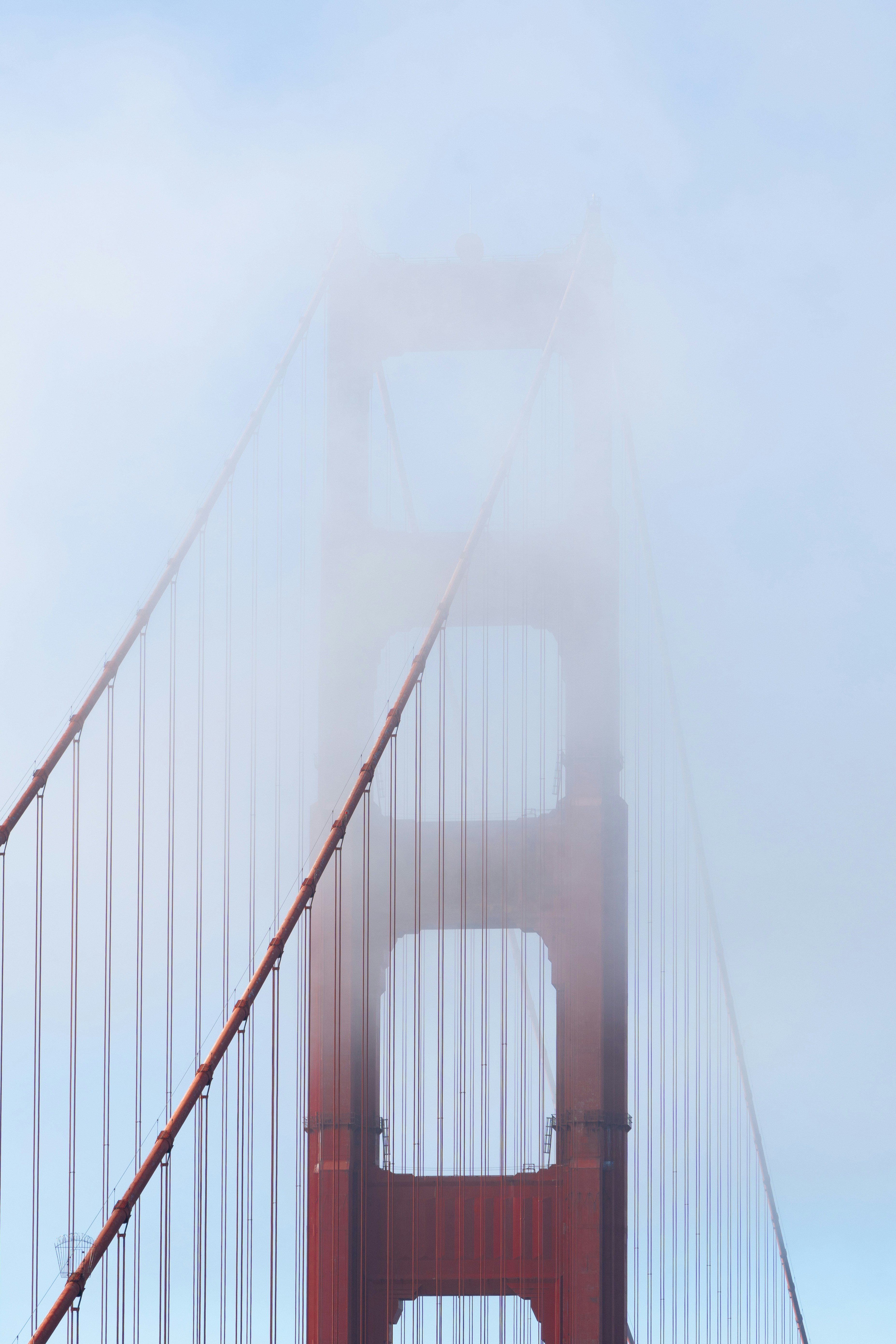 Photo by alirezamirzabegi