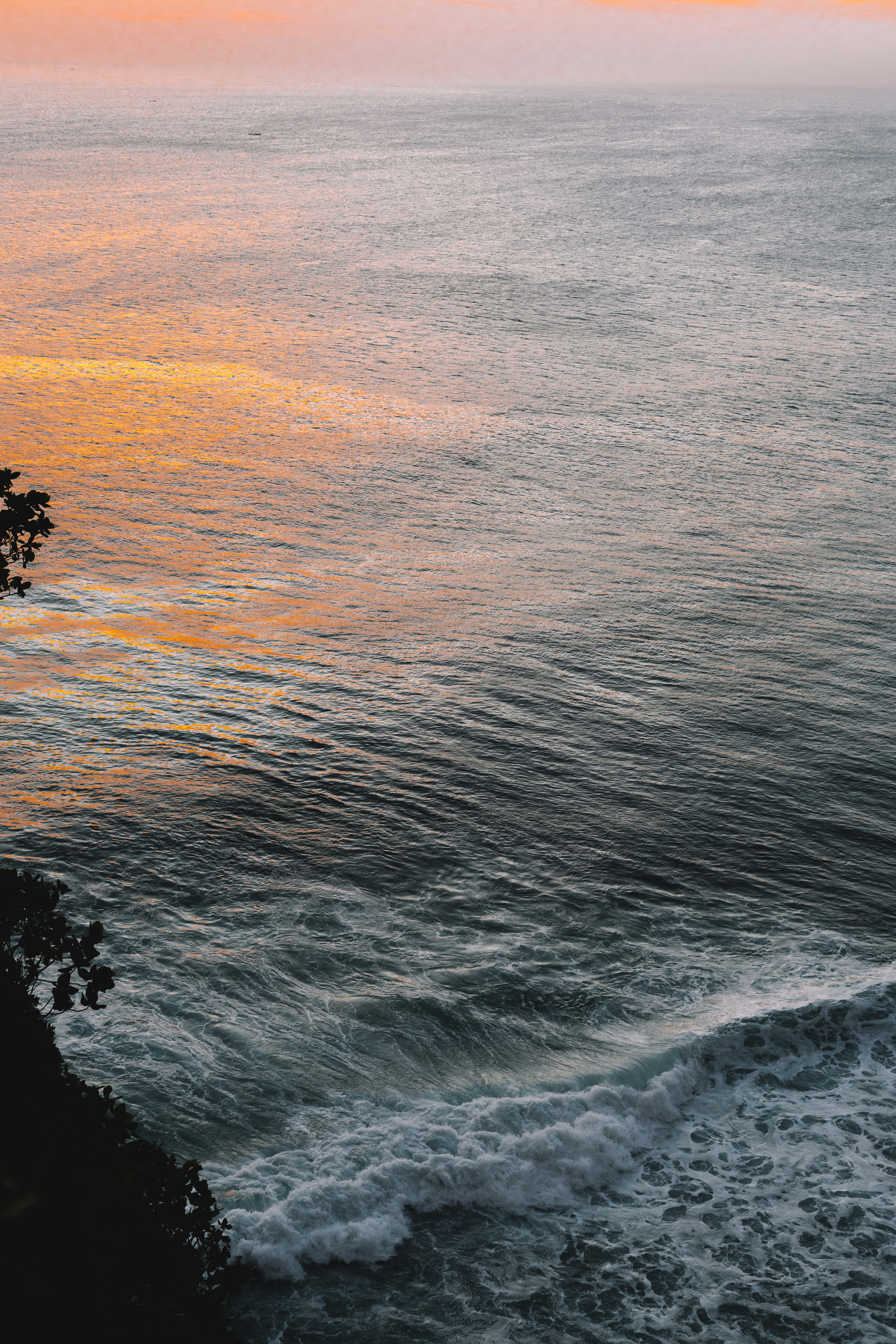 Photo by p_kuzovkova