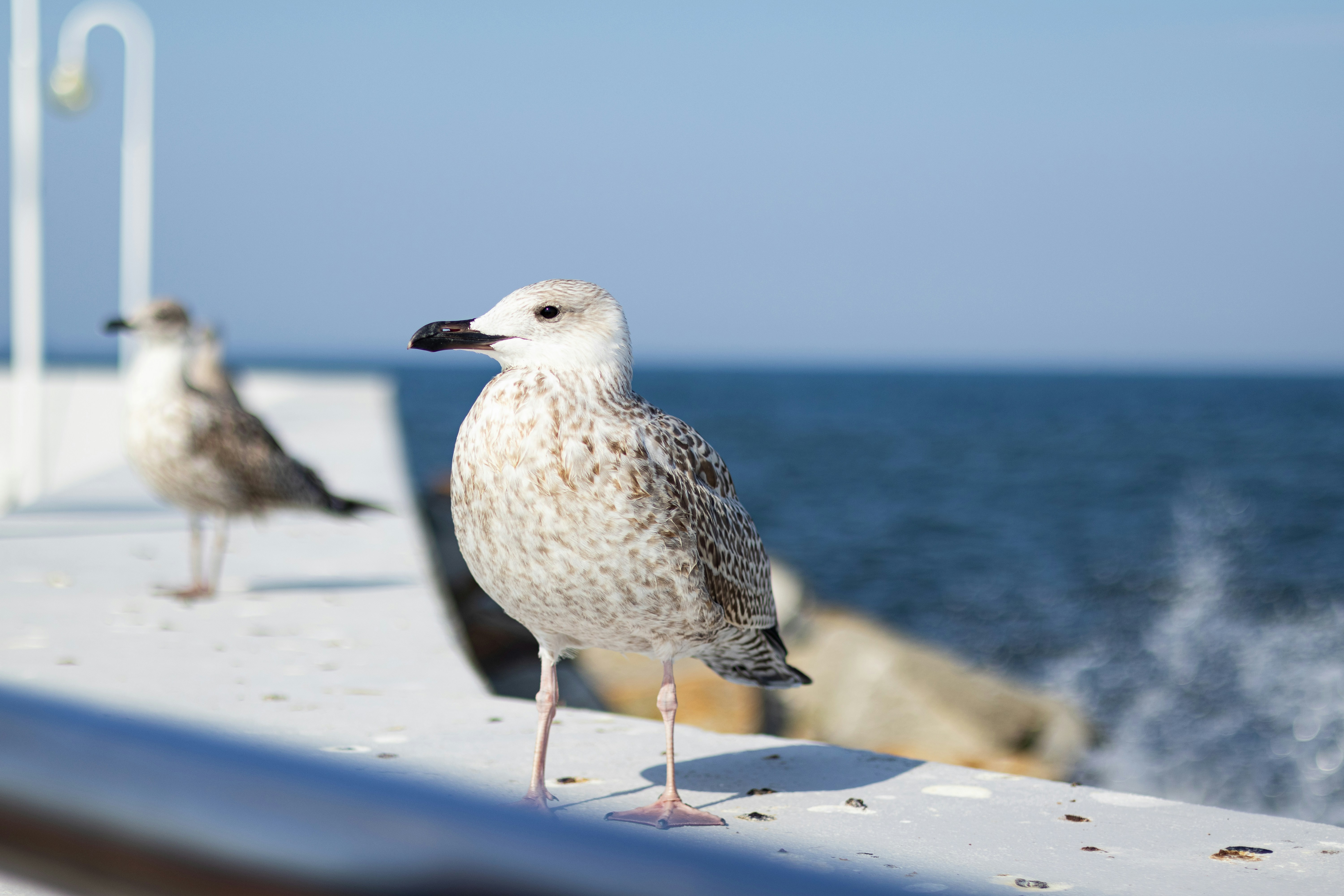 Photo by anyutakejbalo