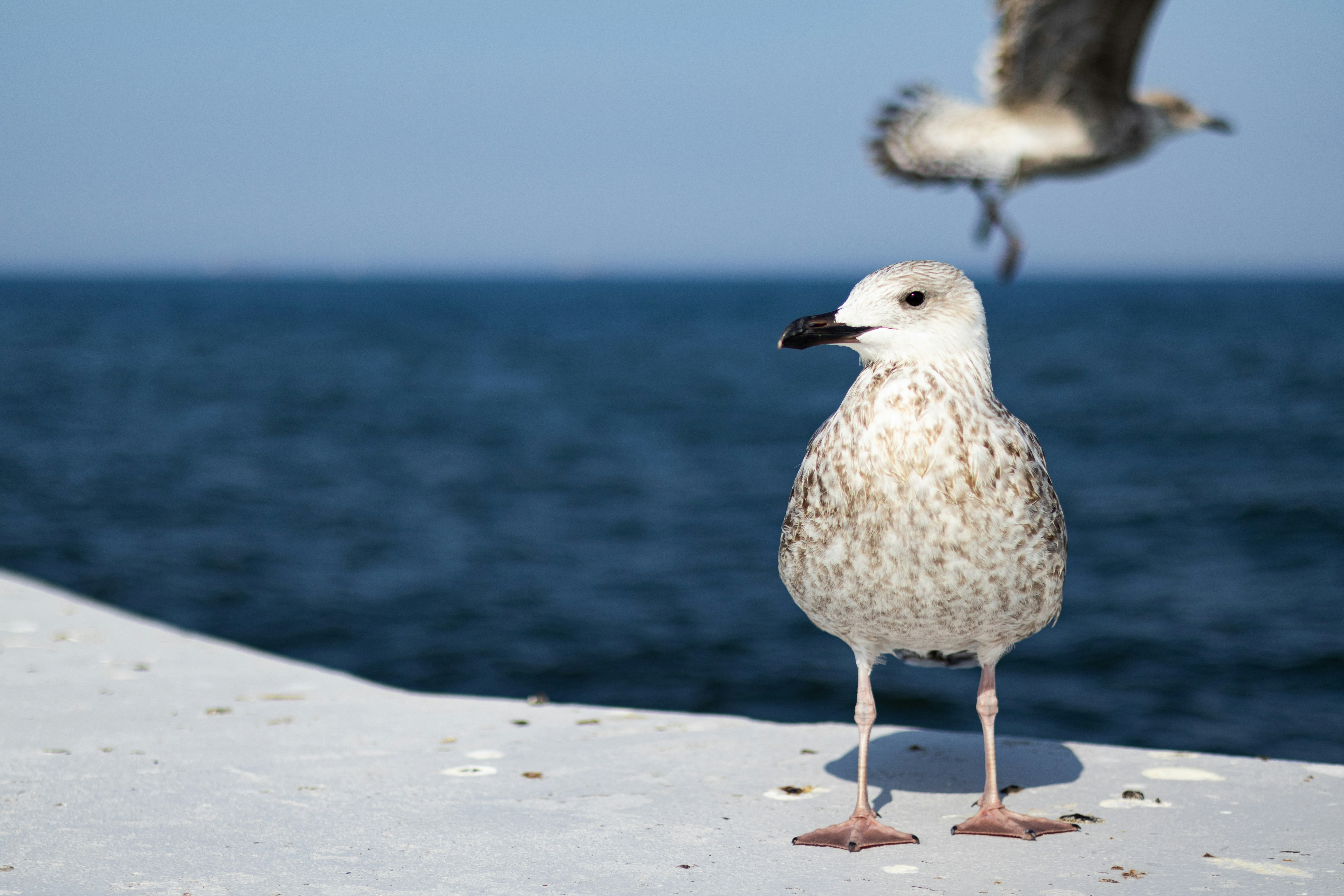 Photo by anyutakejbalo