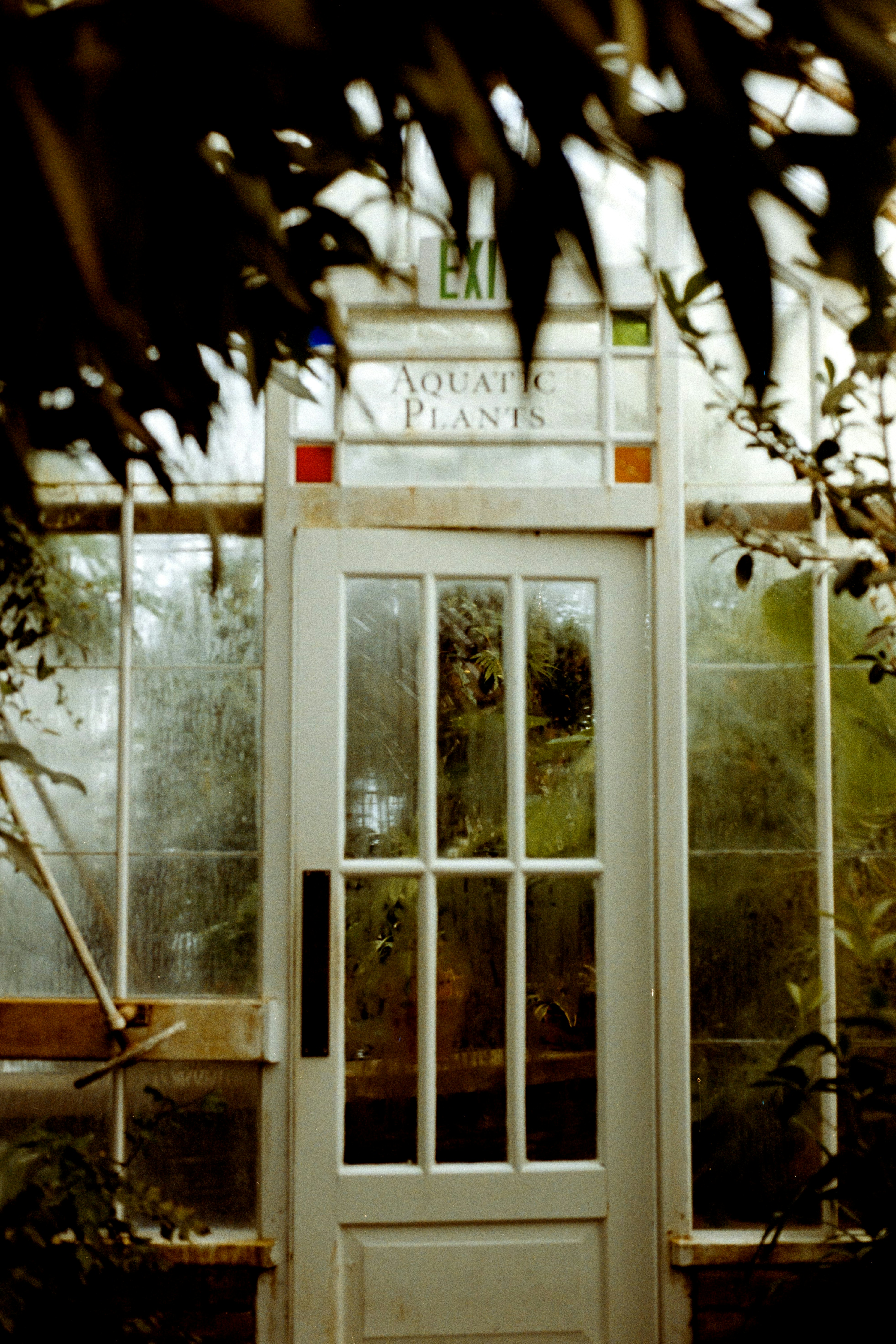 A white door sitting inside of a green house photo &ndash; Free San francisco