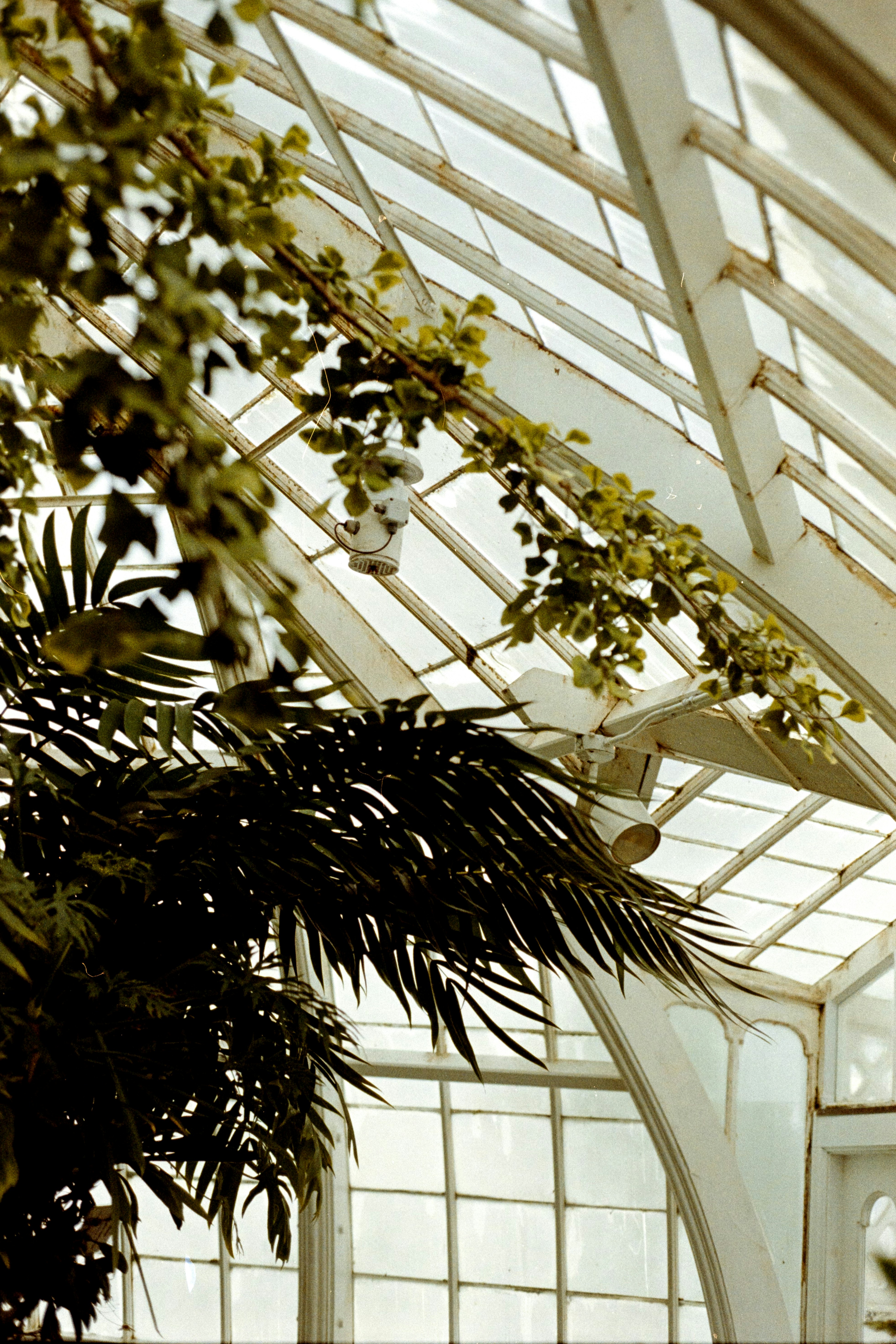 Photo by sashamatveeva