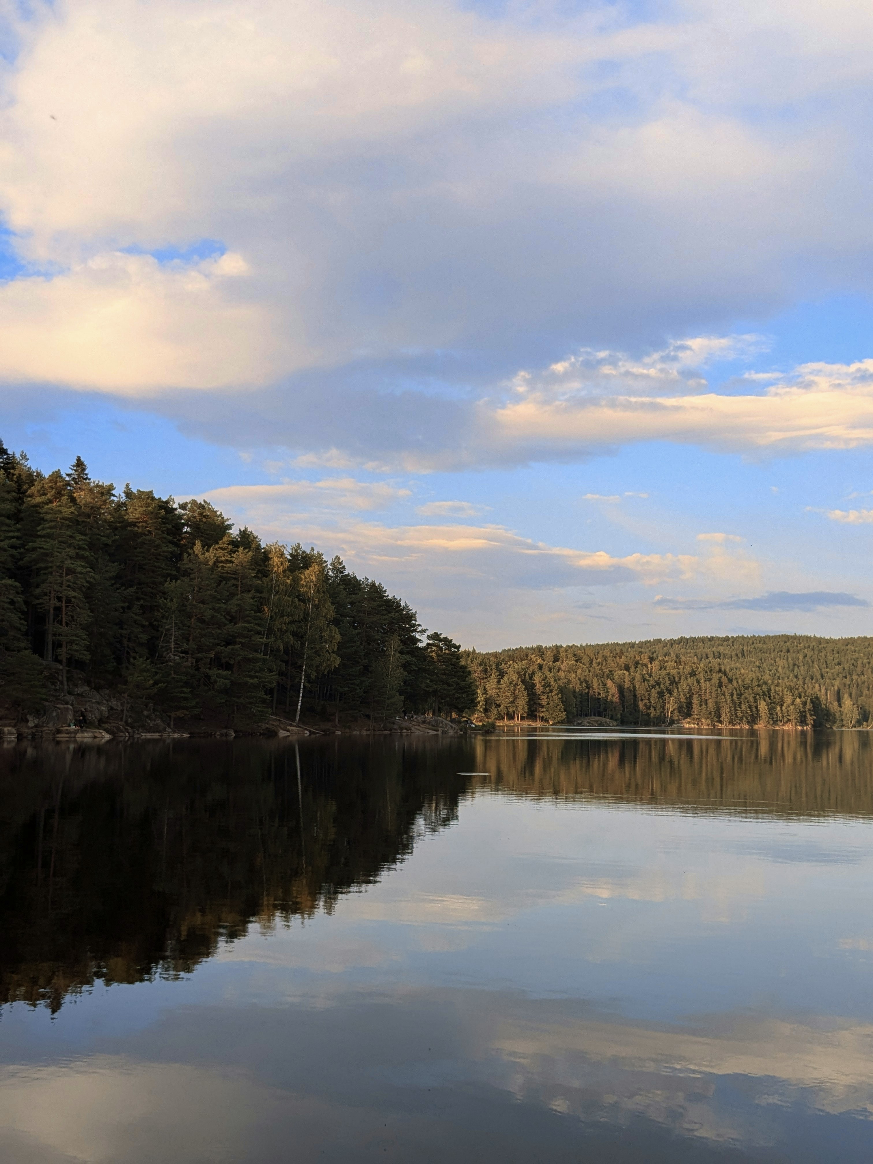 Wilderness lake at golden hour surrounded by boreal forest, dramatic clouds reflected in still water, remote Algonquin landscape