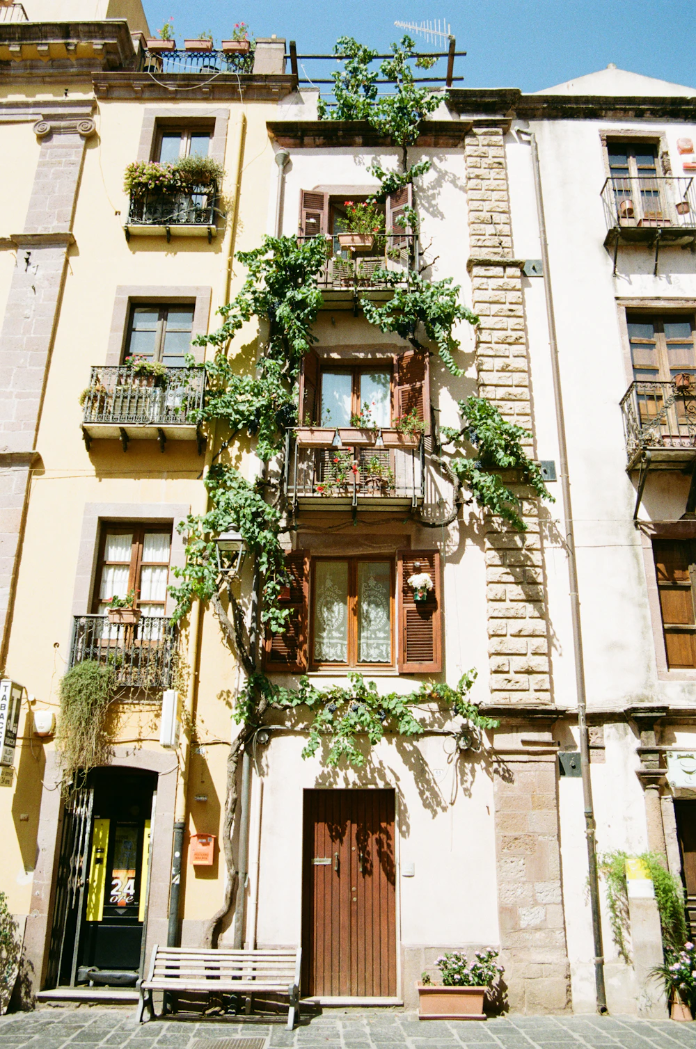 Campo de placas solares