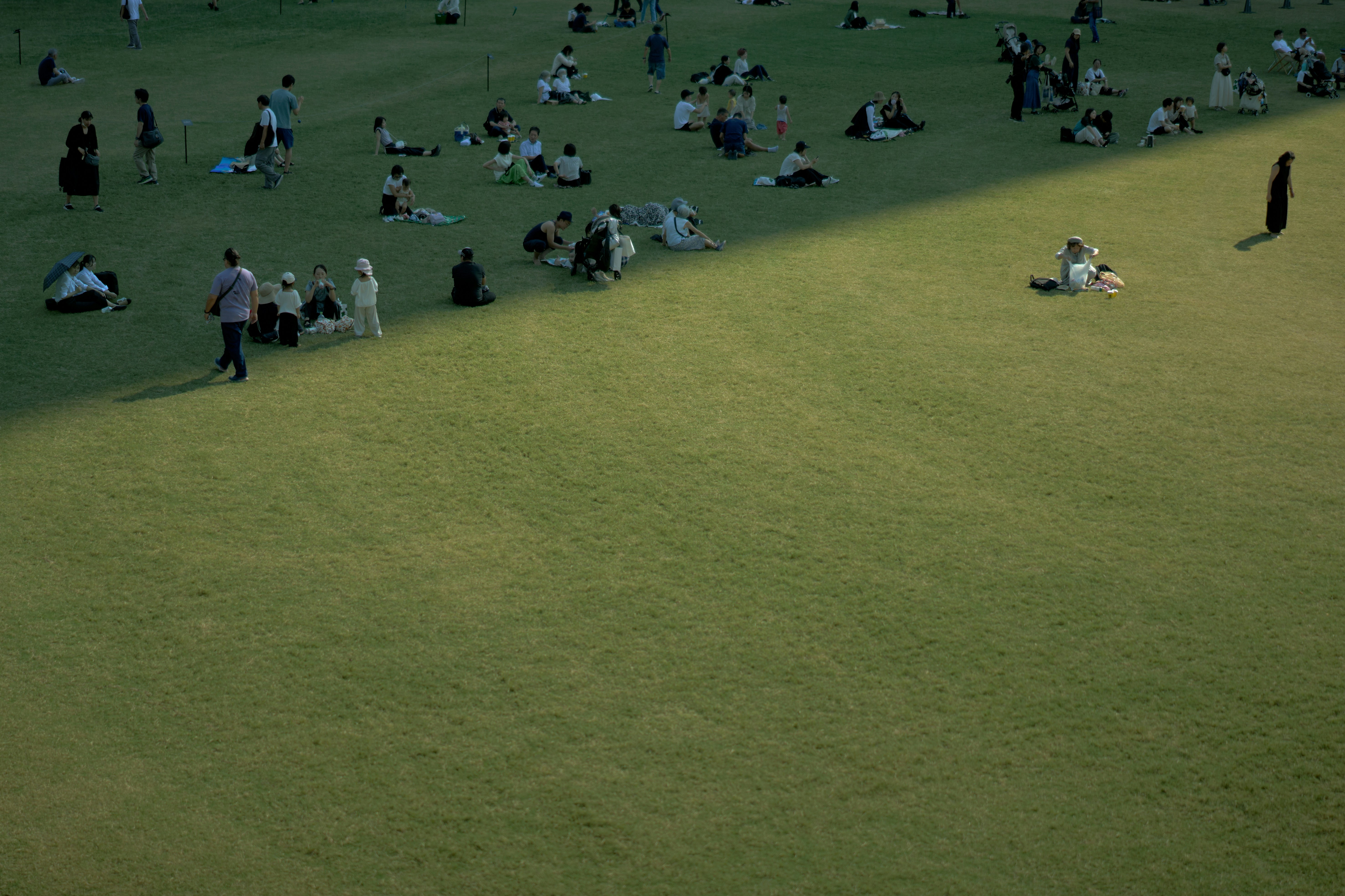 A group of people sitting on top of a lush green field photo – Free ...