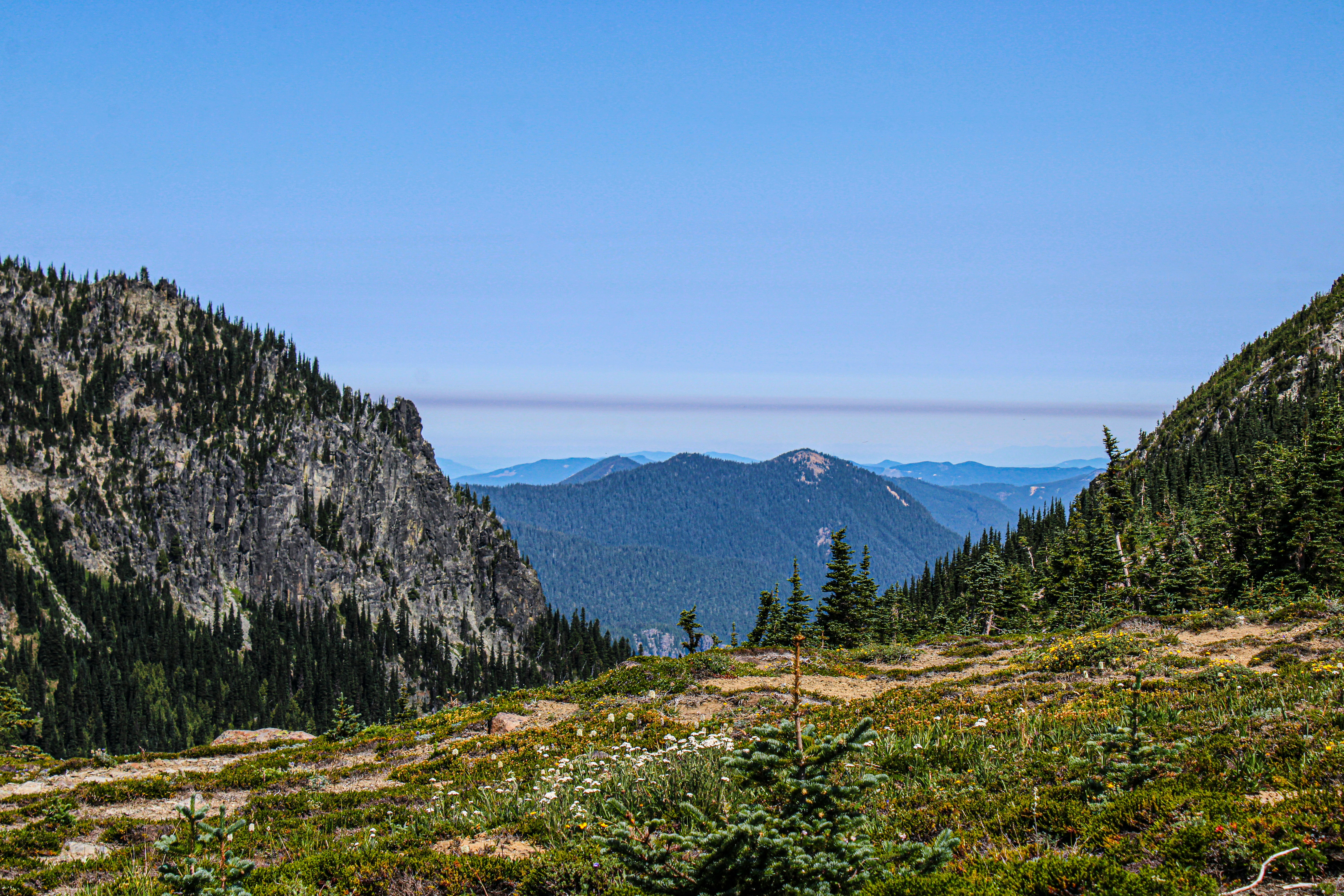 Photo by prphotography262