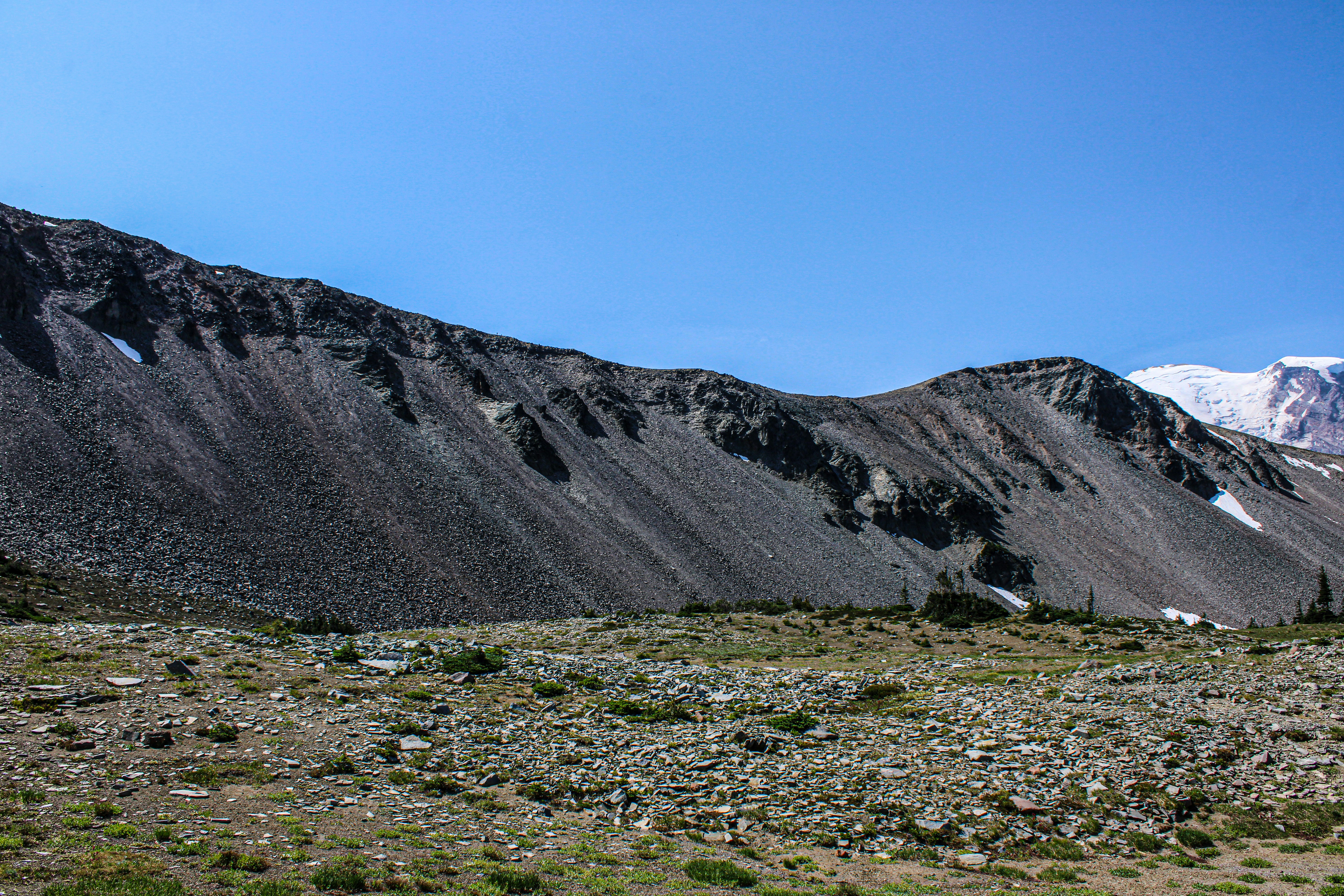 Photo by prphotography262