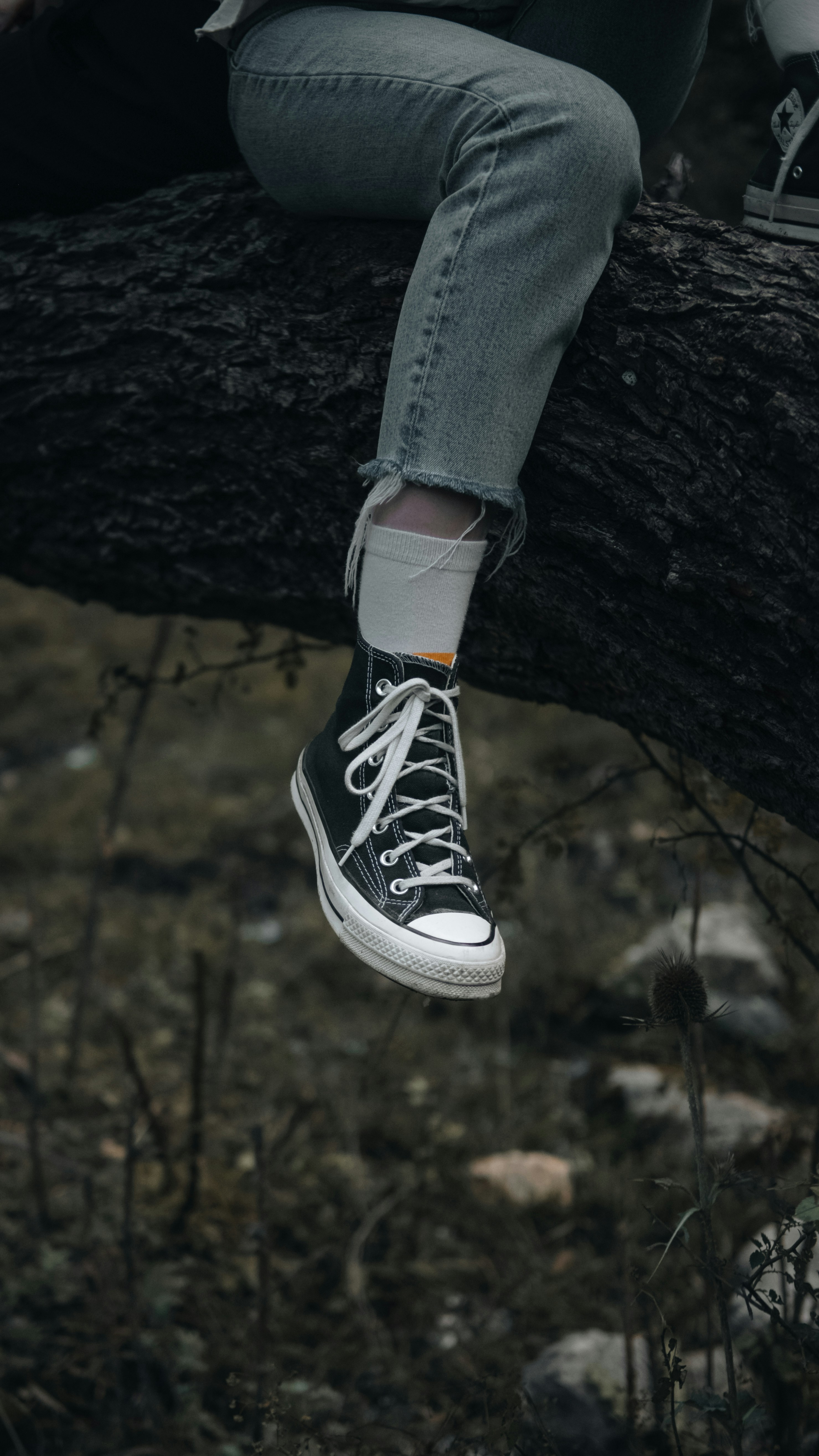 A person is sitting on a tree branch
