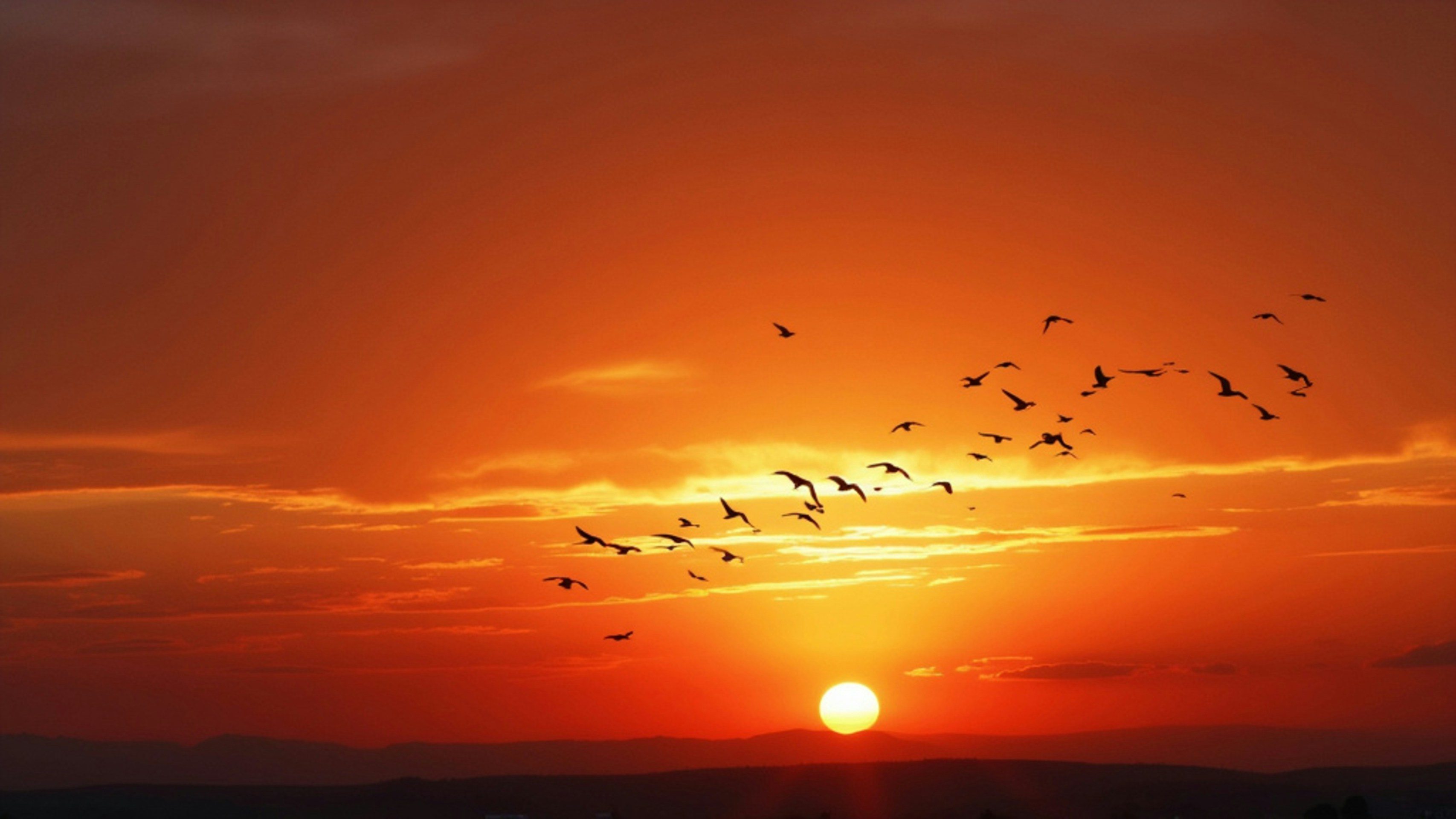 Photo by girish070987