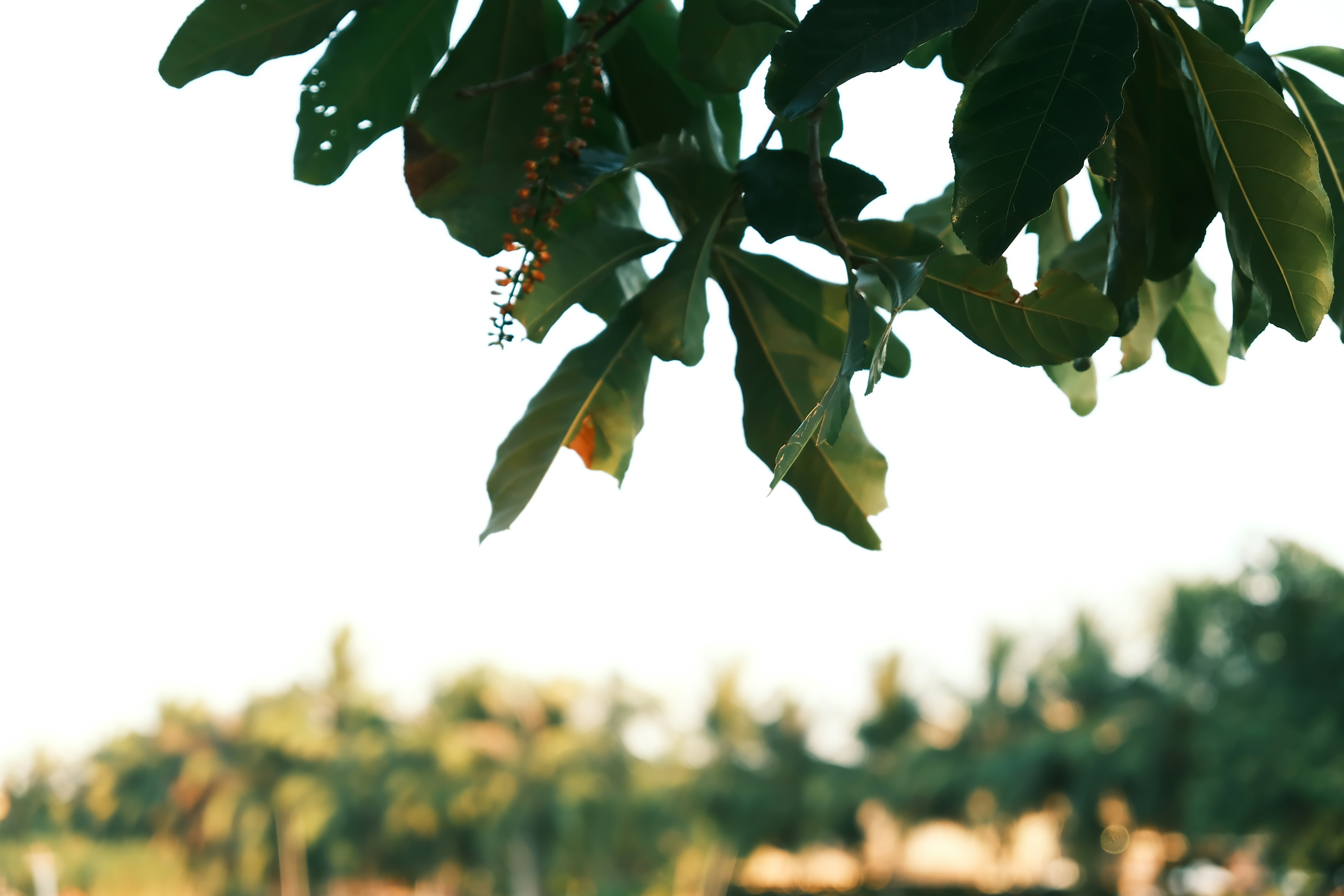 Photo by dvhoang2106