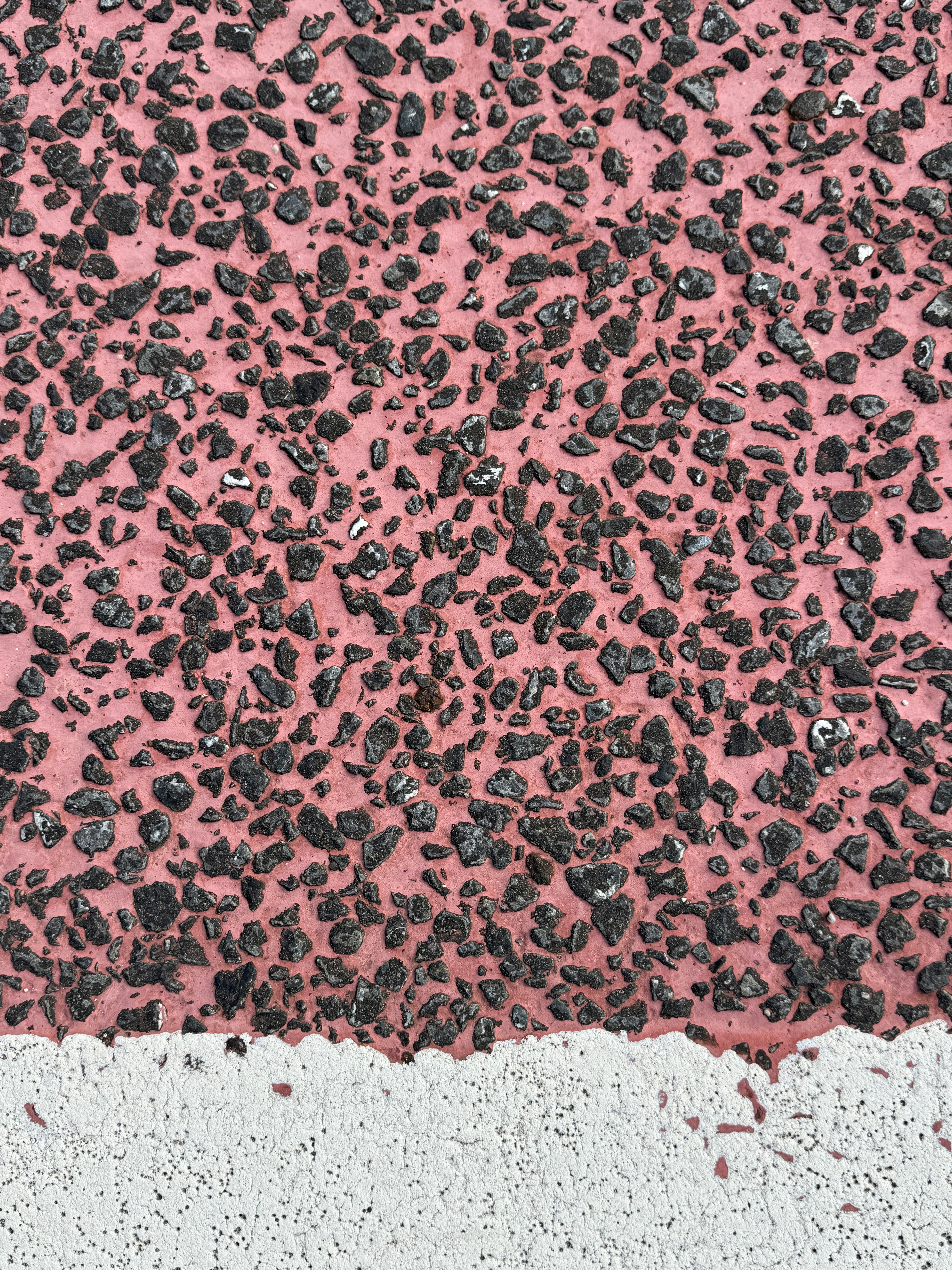 Photo by dynamicwang