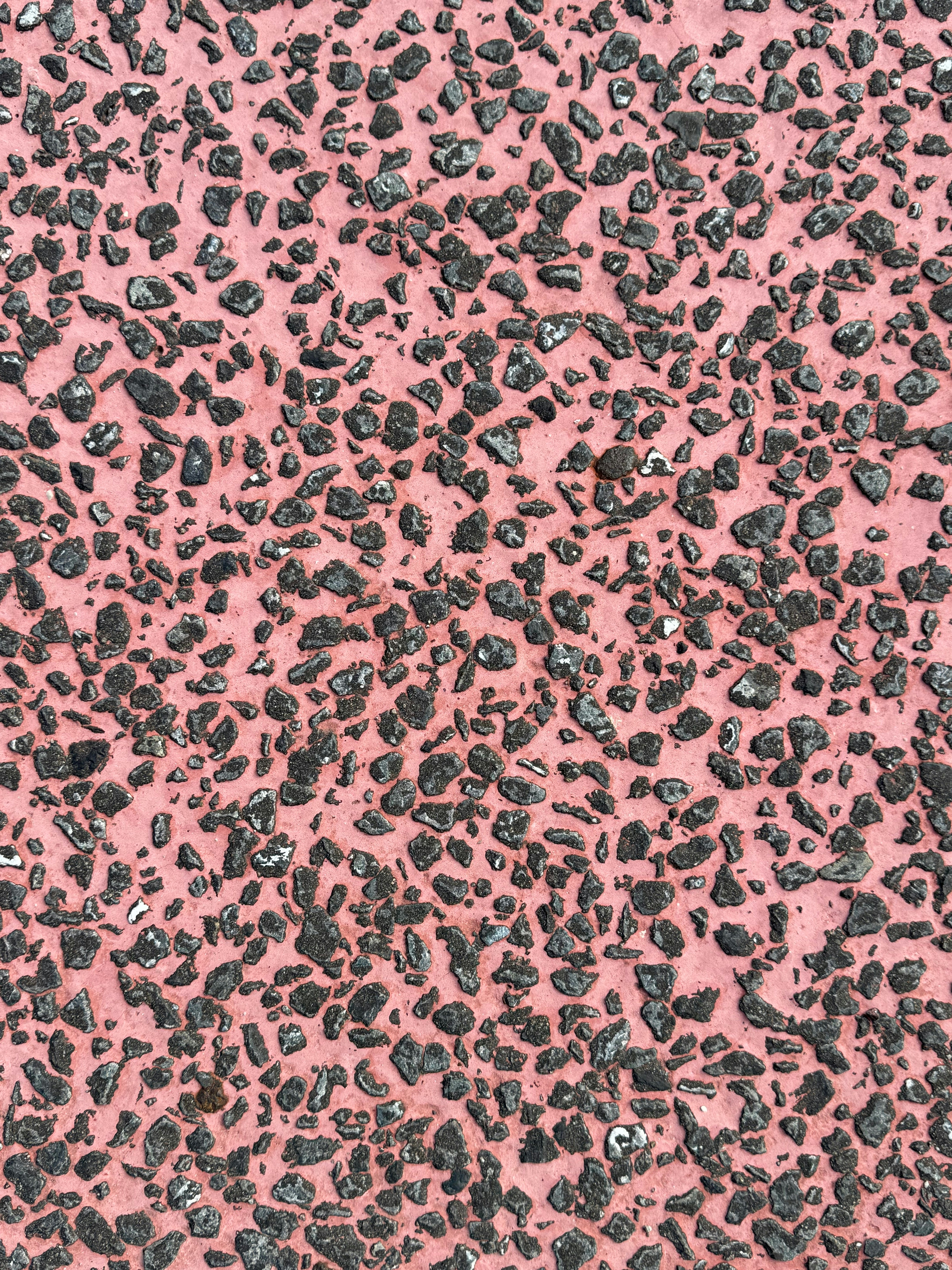 Photo by dynamicwang