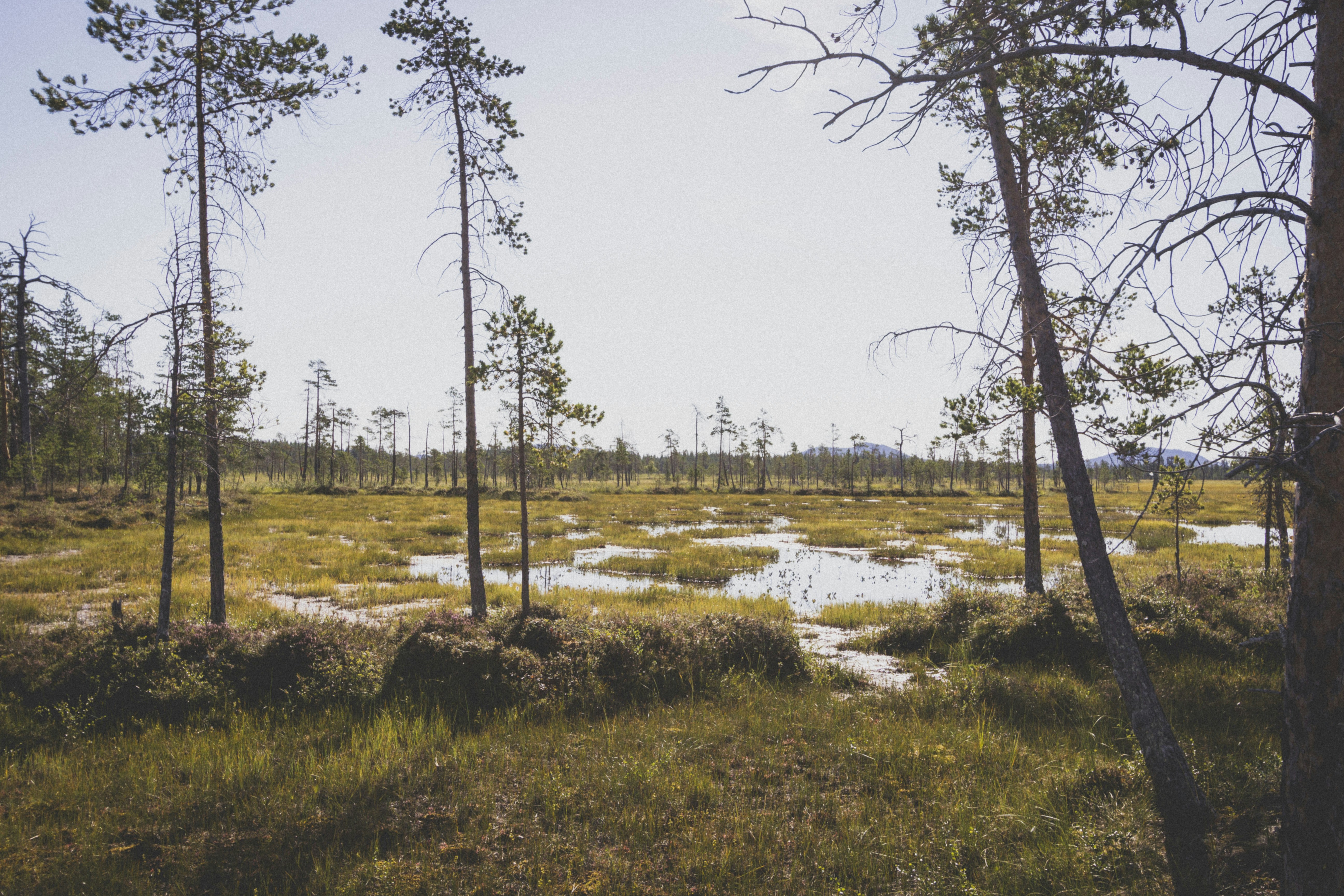 Photo by kristoffertuomaphoto