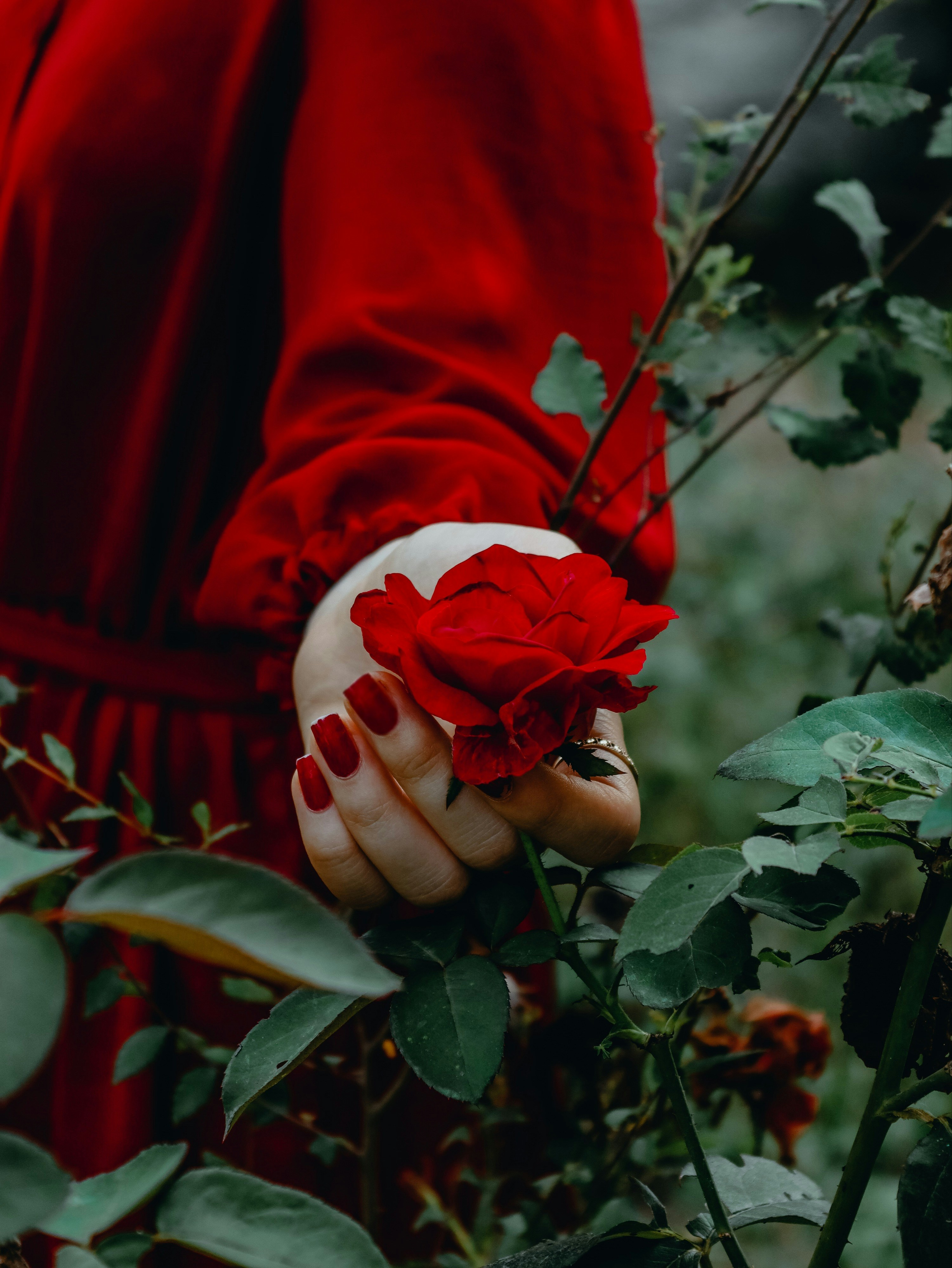 Photo by maedehrmp