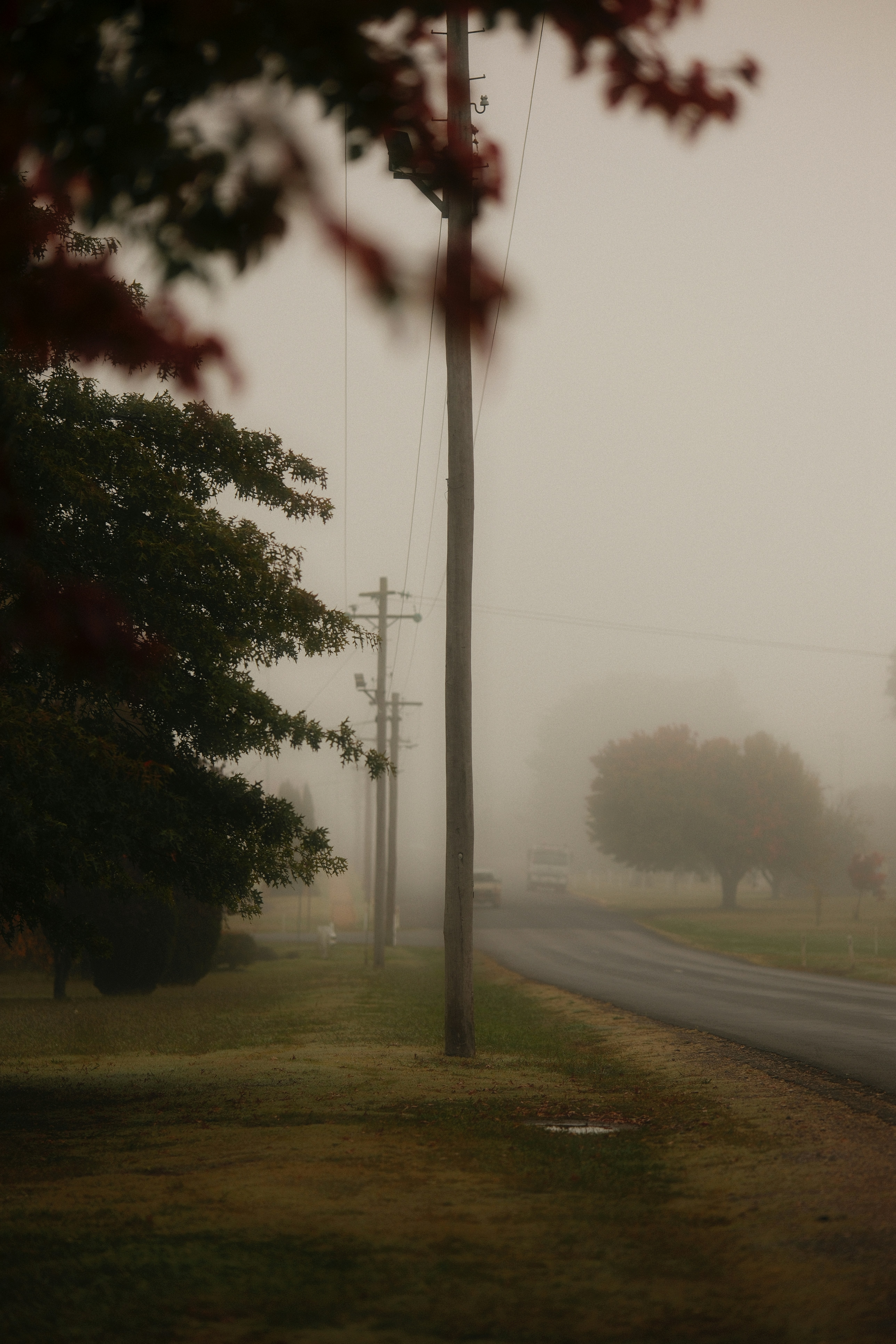 Guyra, New South Wales