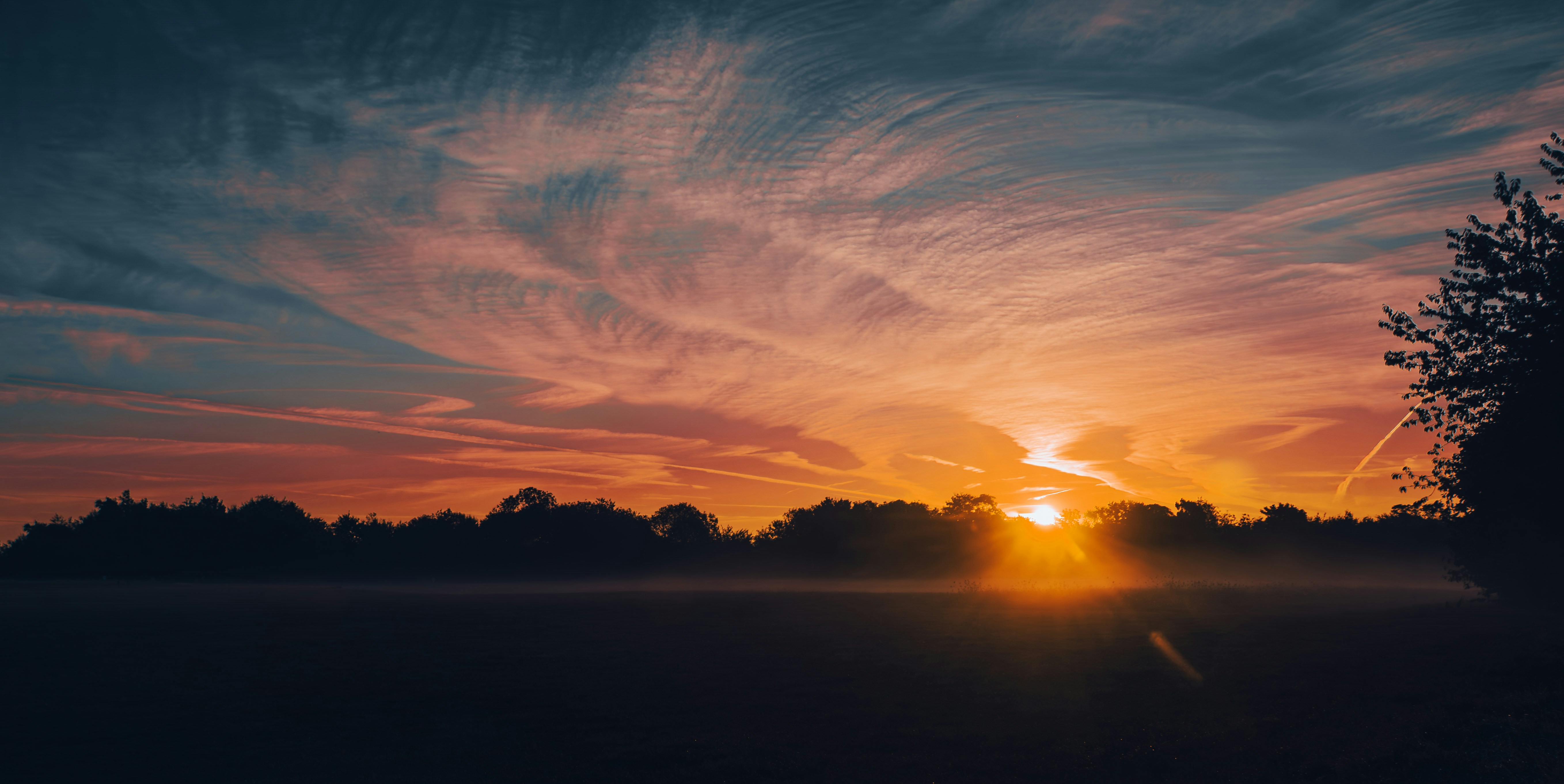 The sun is setting over a field with trees