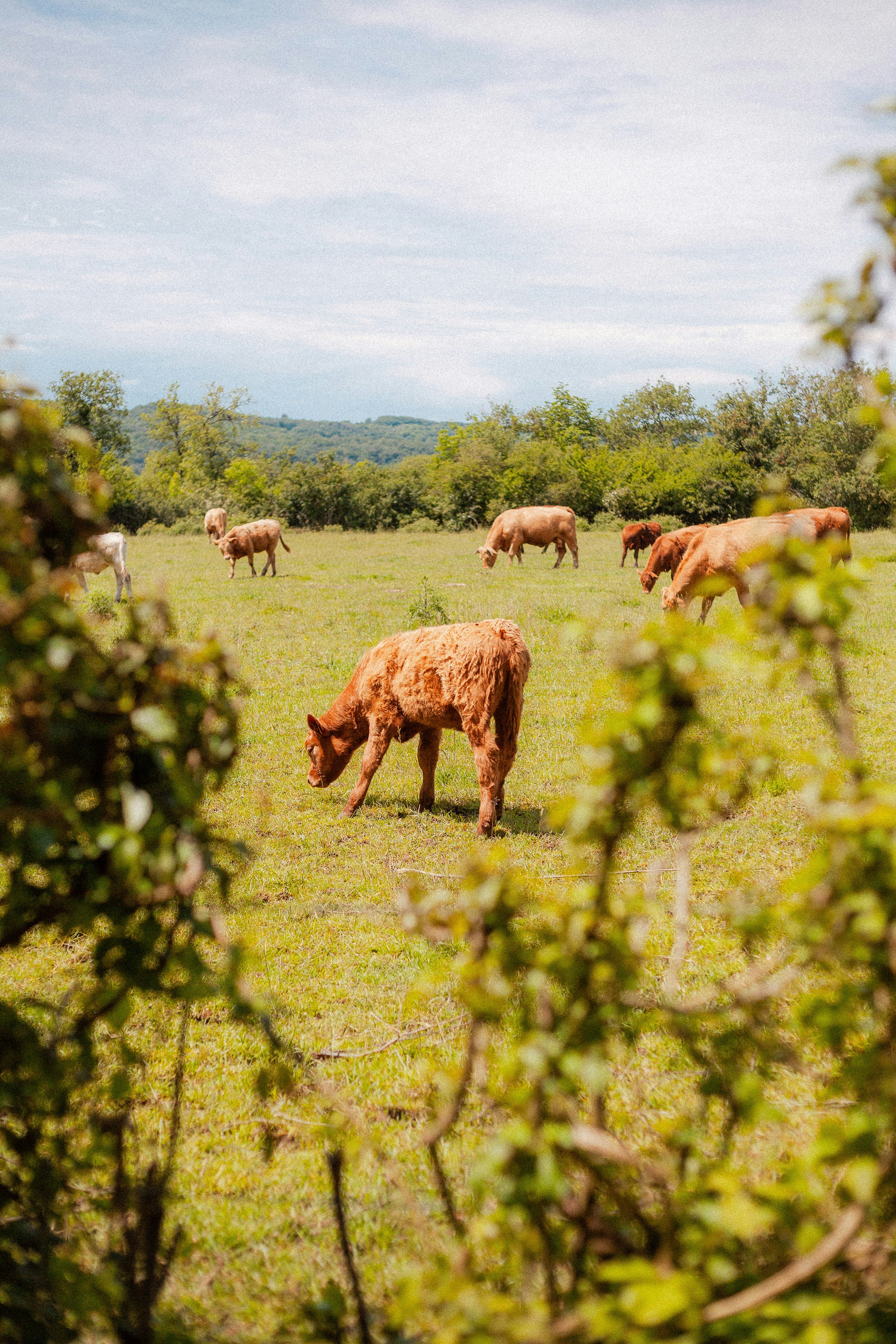 Photo by aurelien_dckw