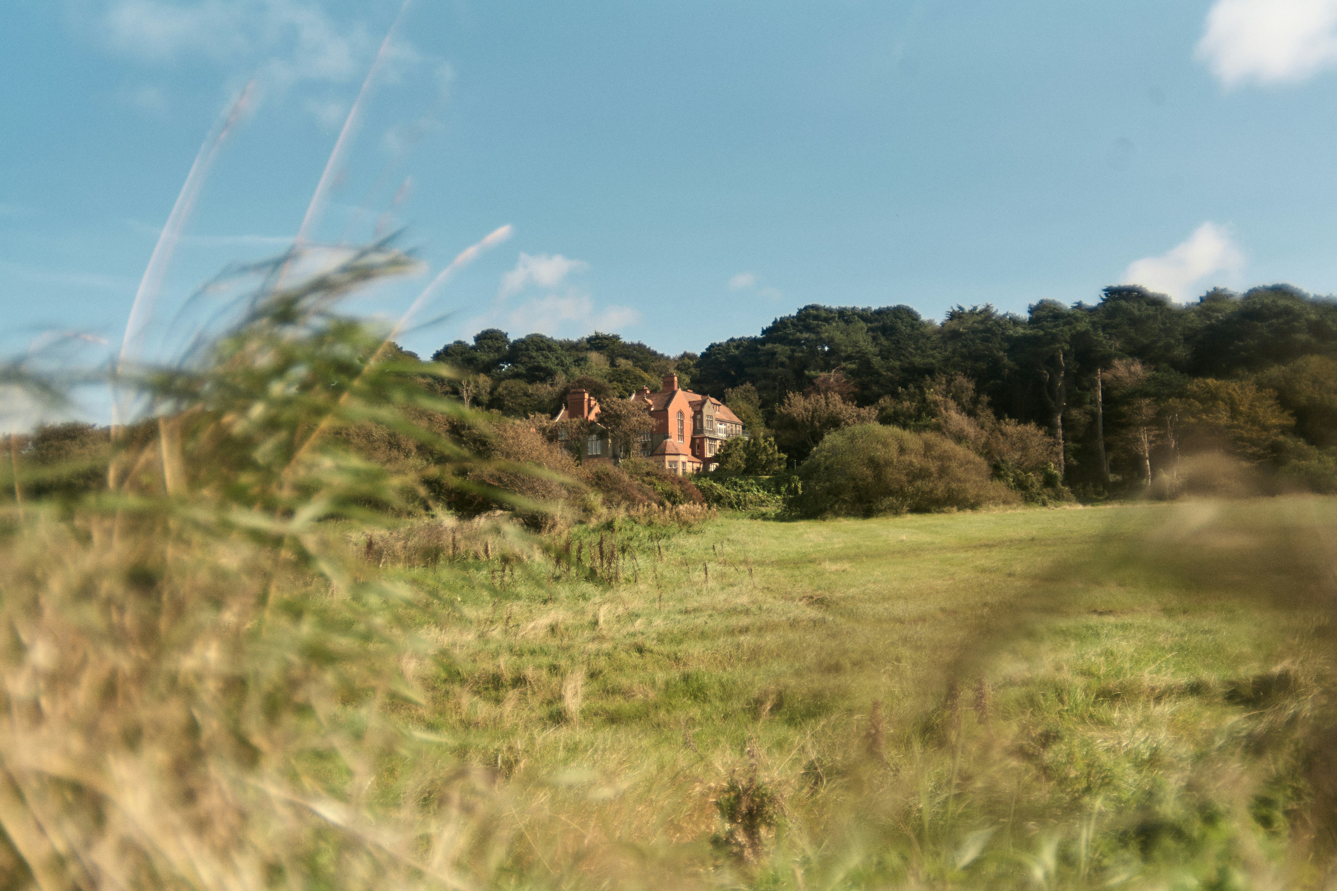 A grassy field with a house in the distance