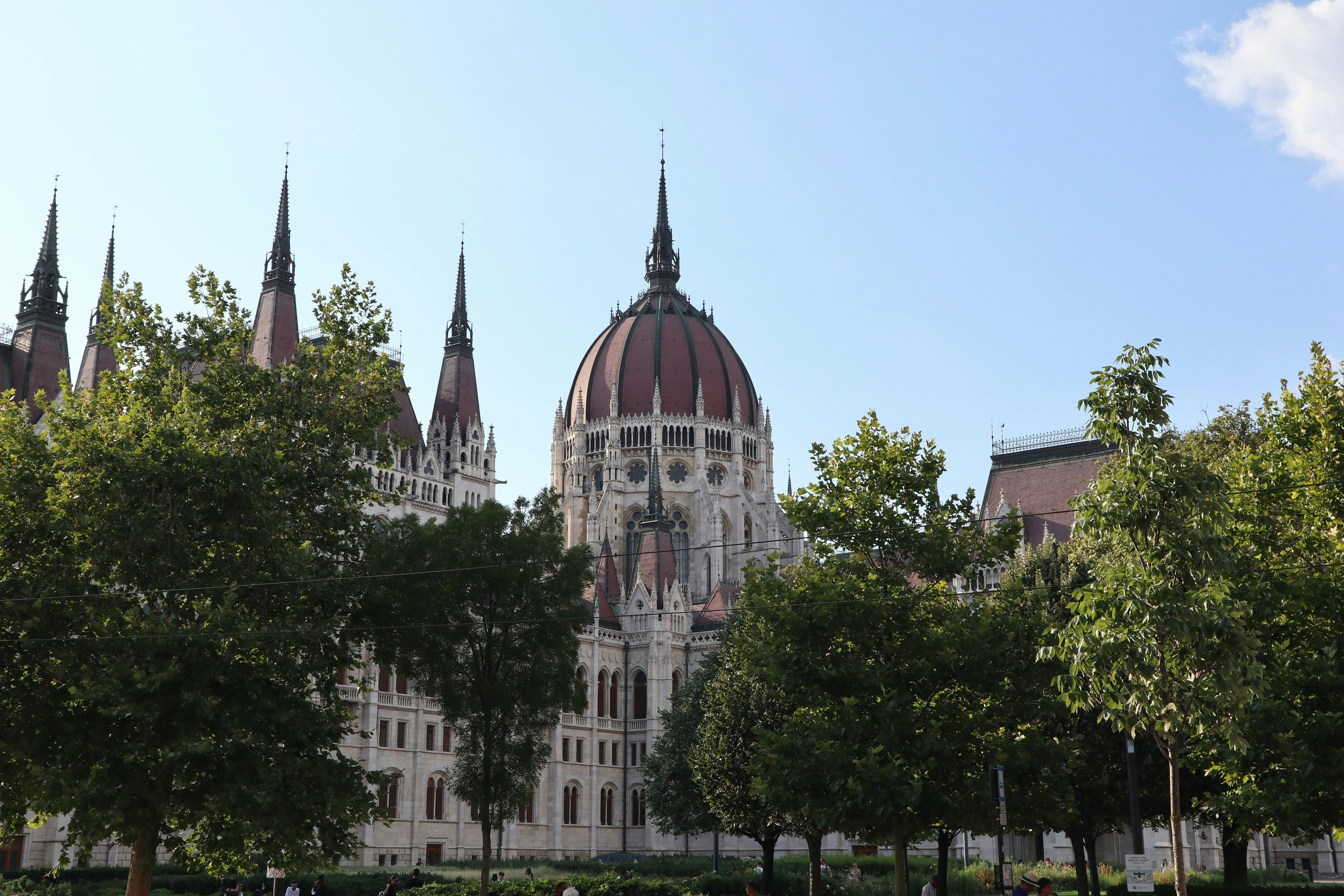 Photo by balint_miko