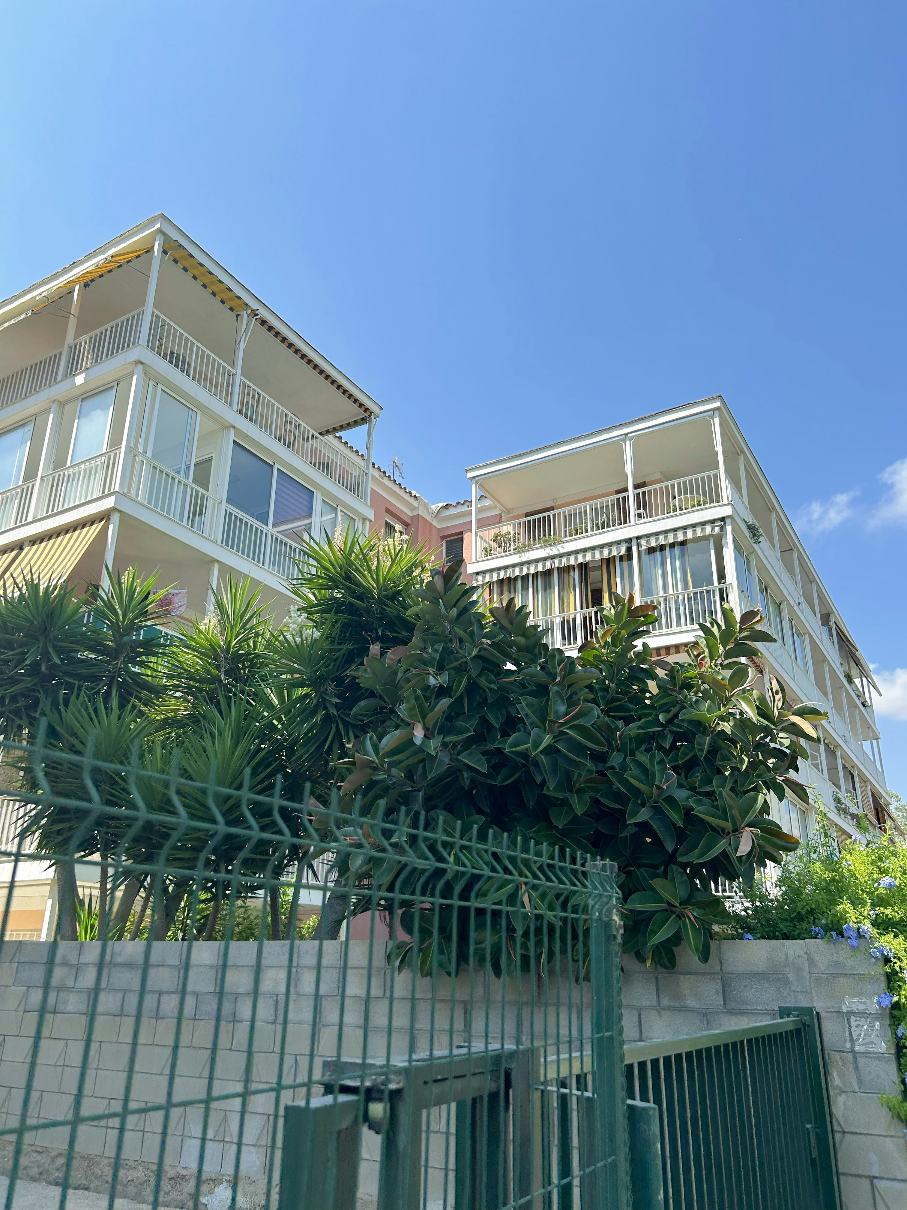 Coconut Grove Miami luxury residential building surrounded by lush tropical greenery