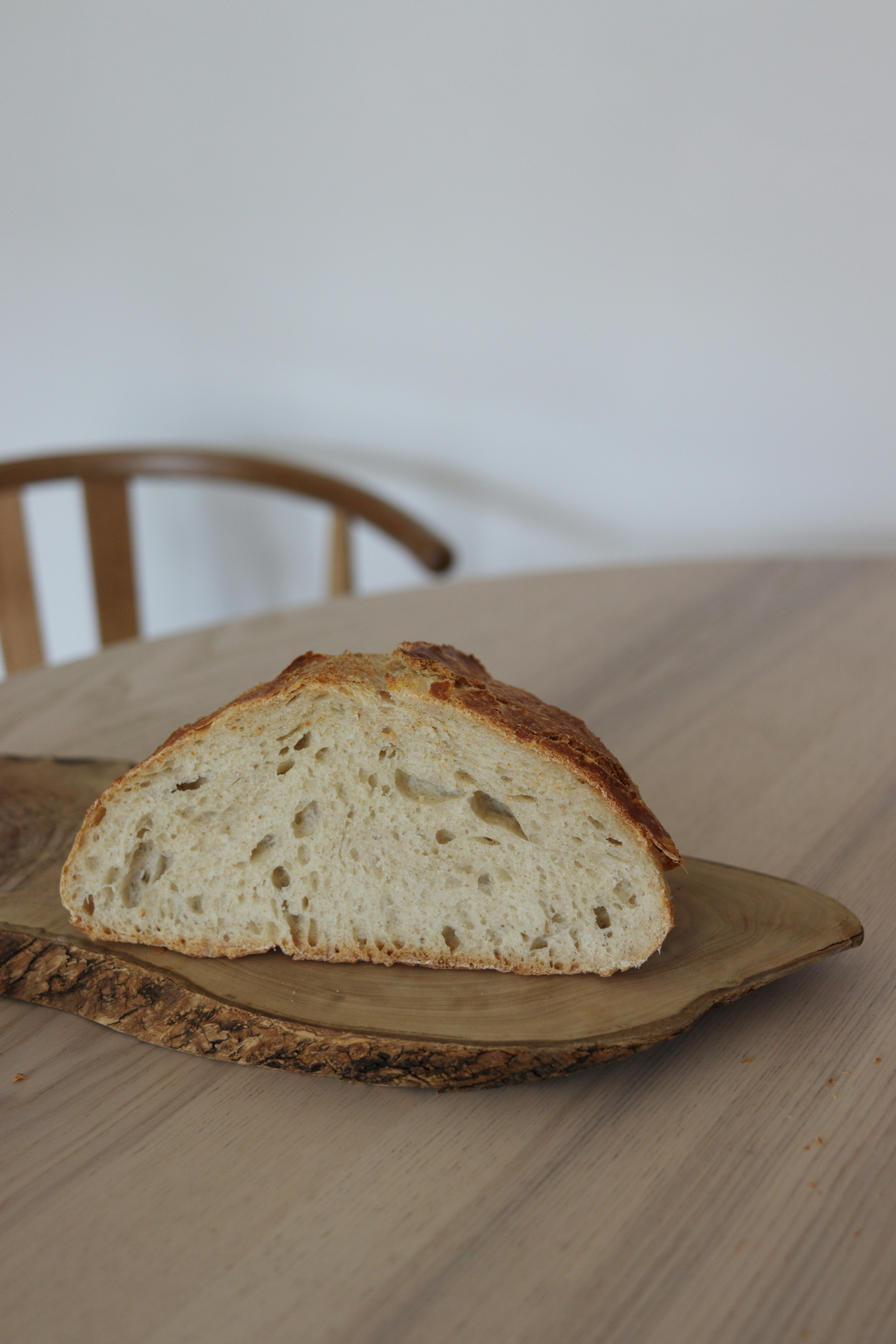 빵 터지는 과학, 뇌섹 유머로 업그레이드! 😂