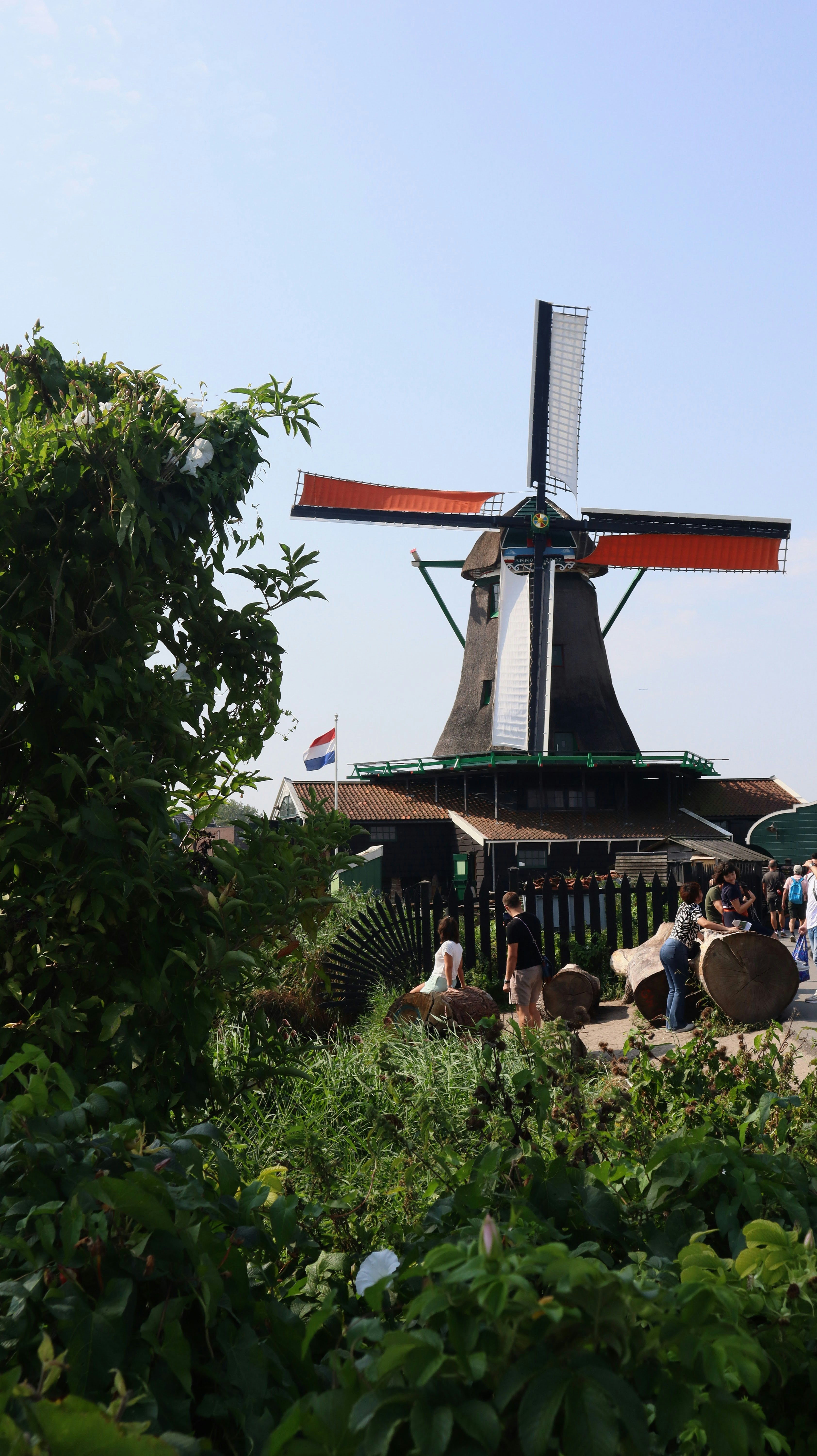 A group of people sitting at a table in front of a windmill