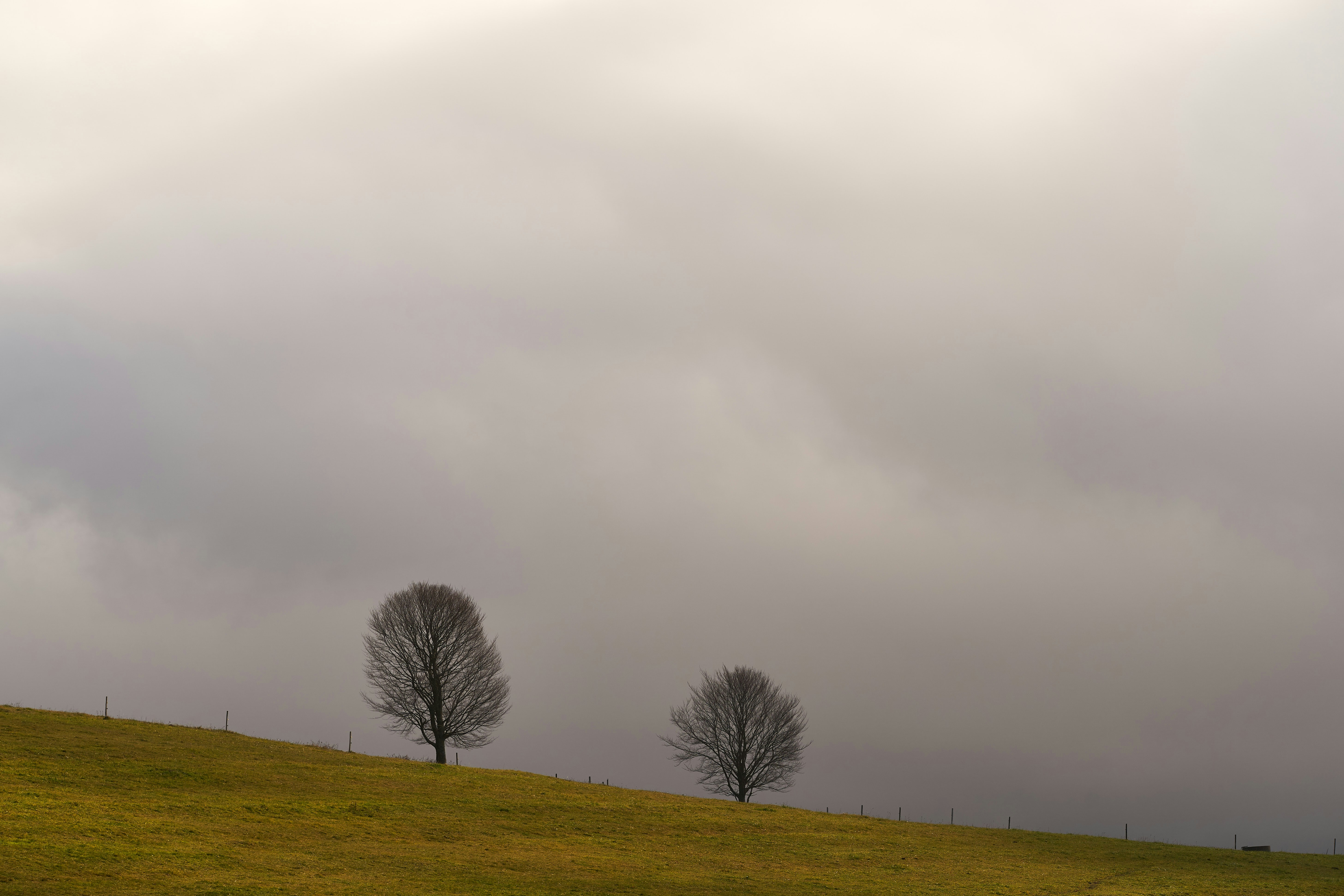 Photo by wolfgang_hasselmann