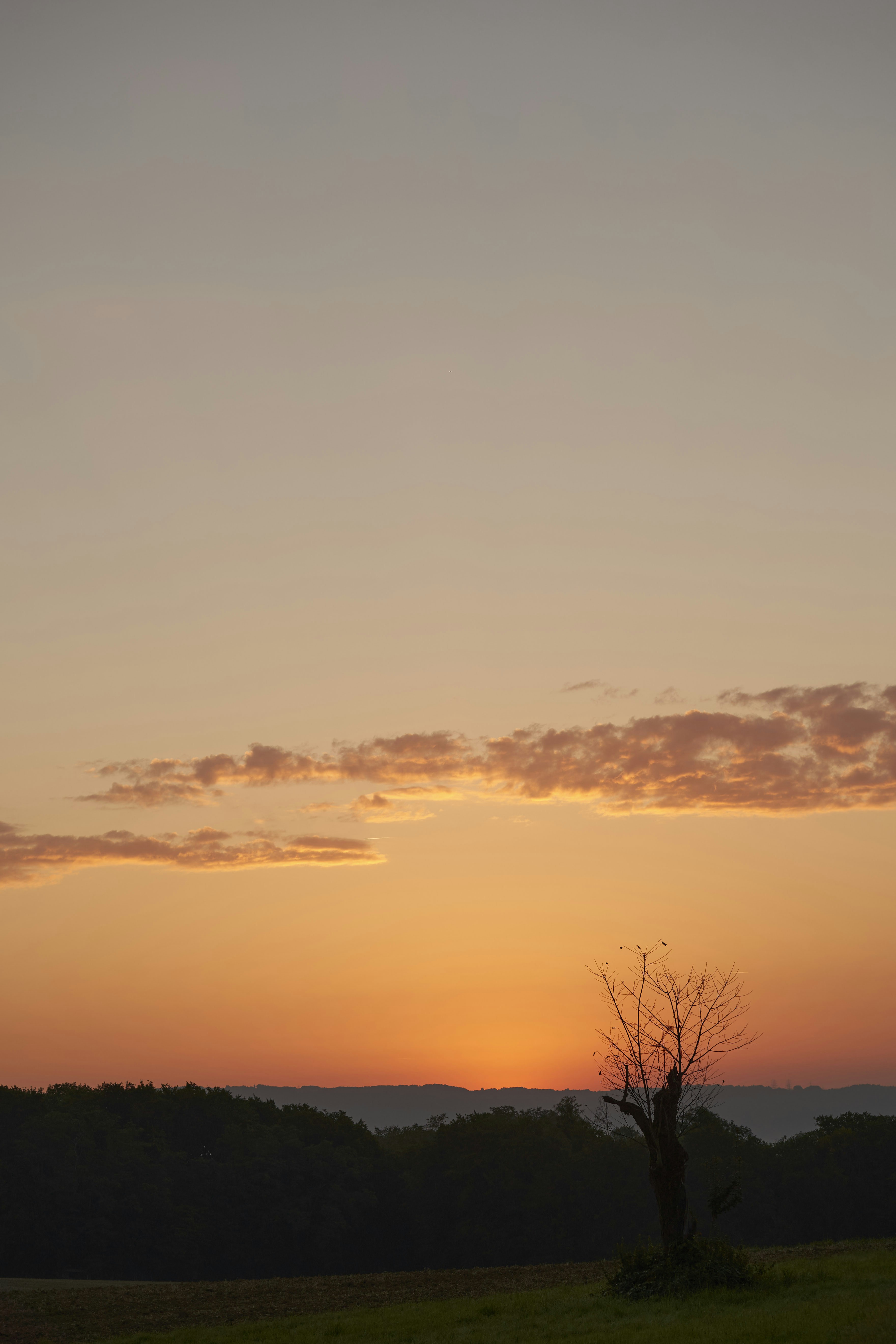 Photo by wolfgang_hasselmann