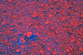 A red and blue area with a blue object in the middle of it