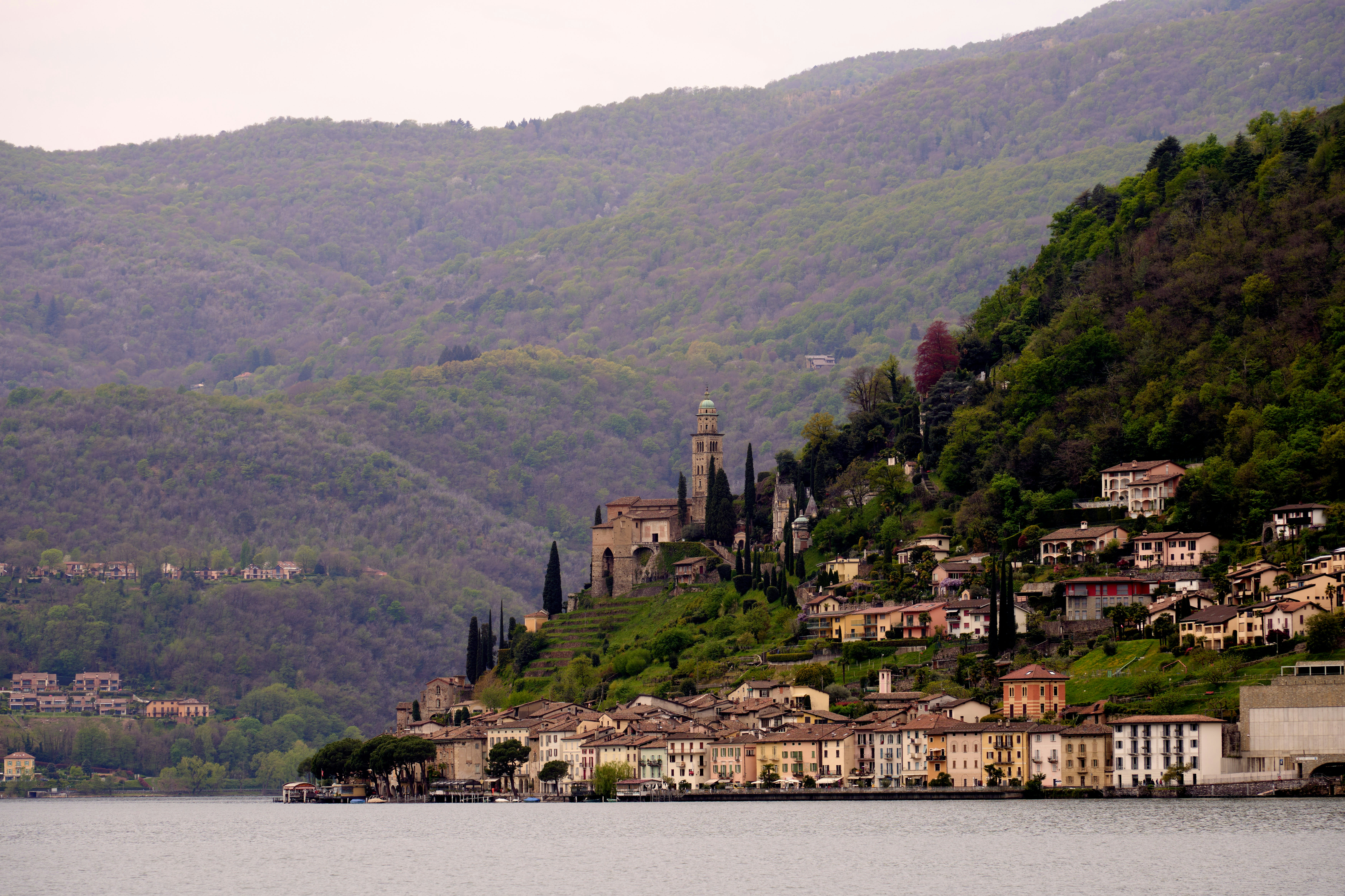 Photo by wolfgang_hasselmann