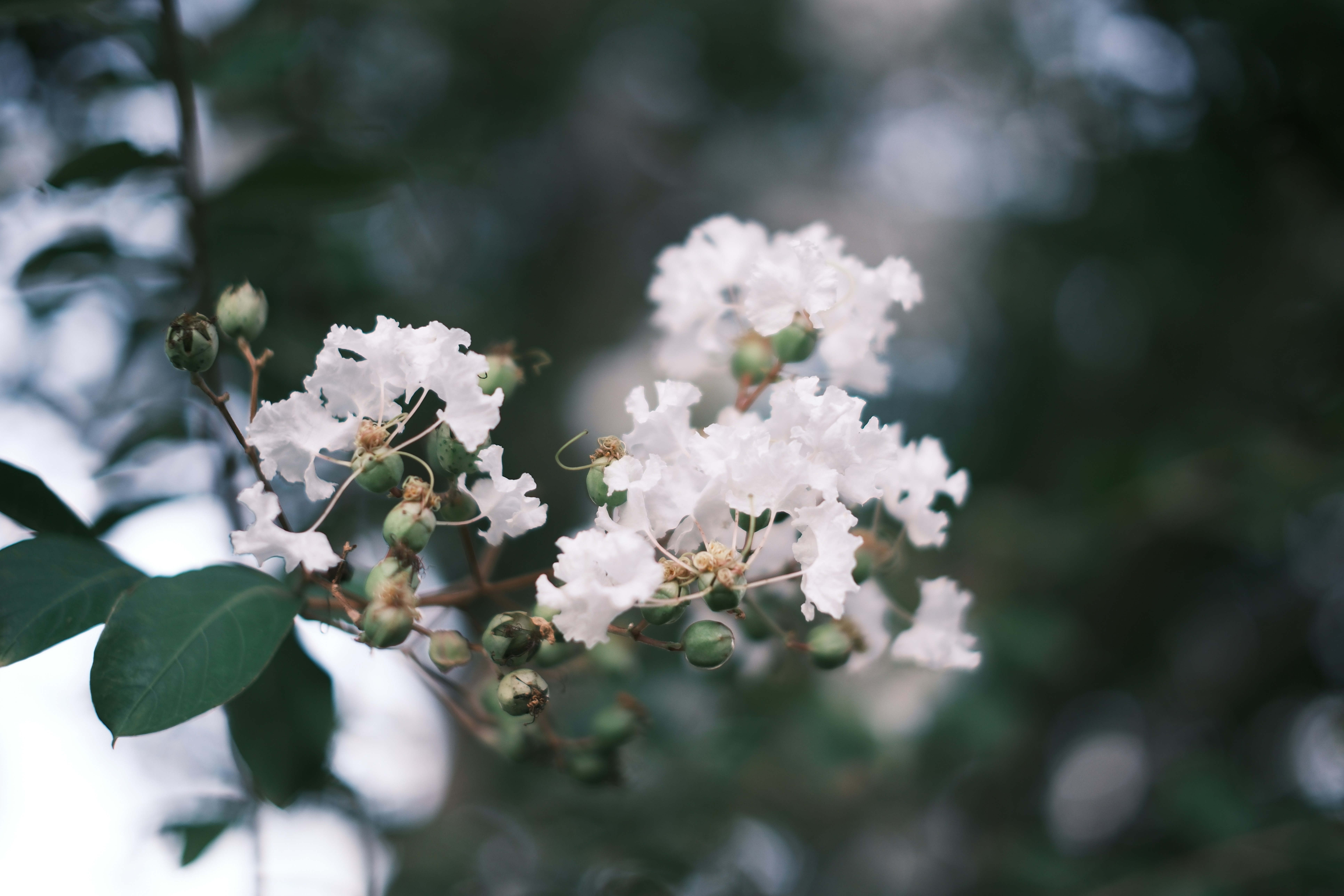 Photo by snowyowl644