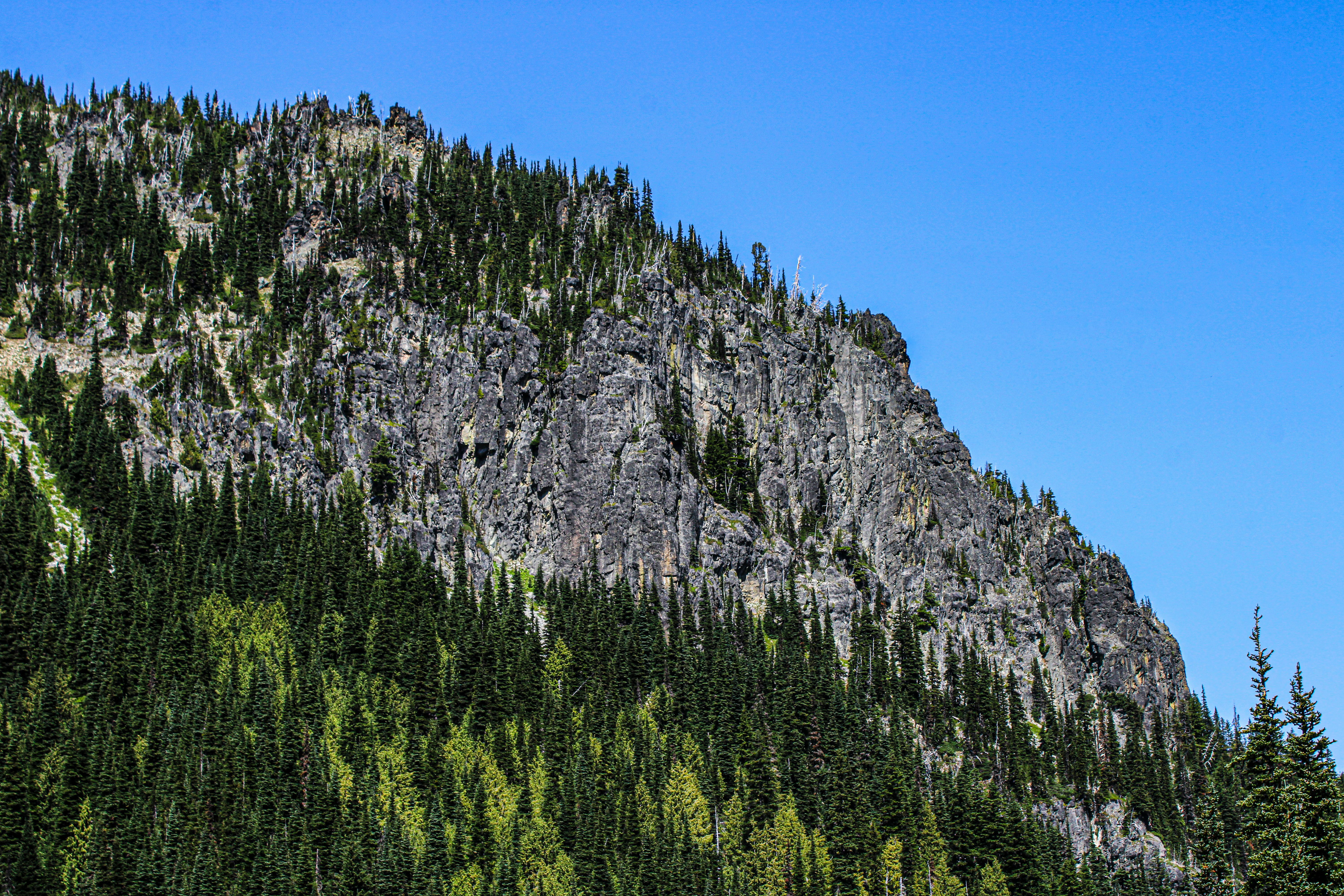 Photo by prphotography262