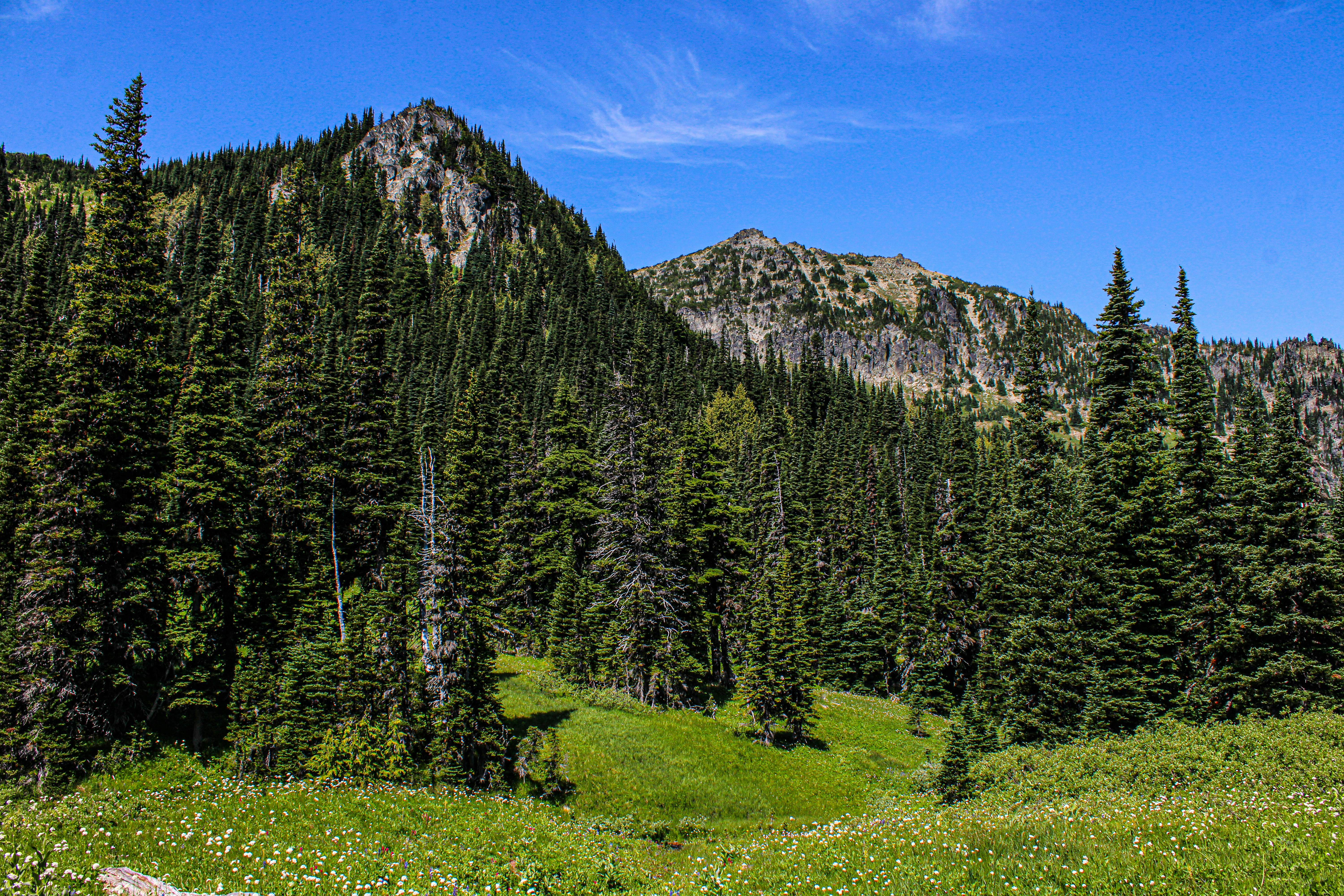 Photo by prphotography262