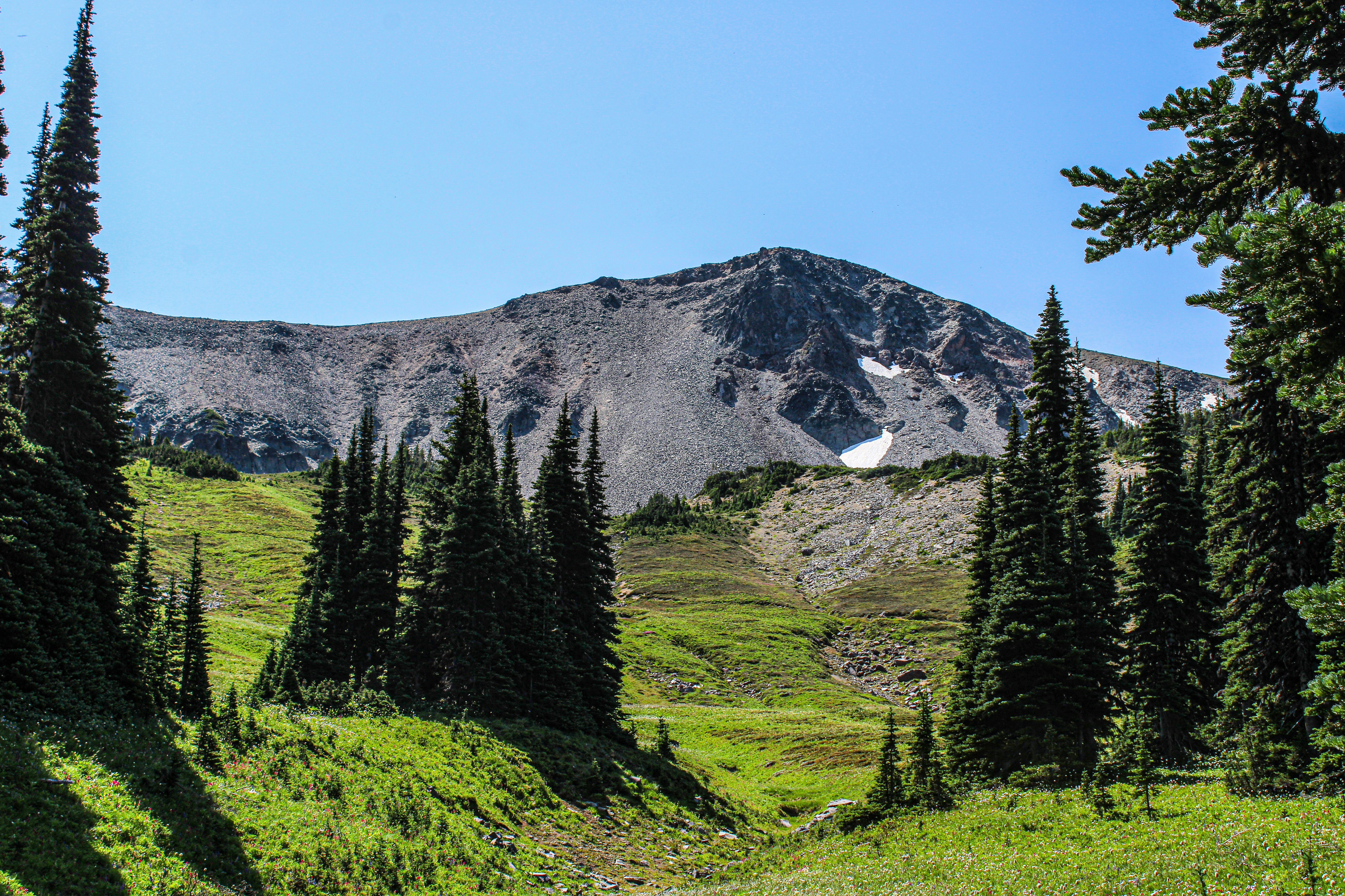 Photo by prphotography262