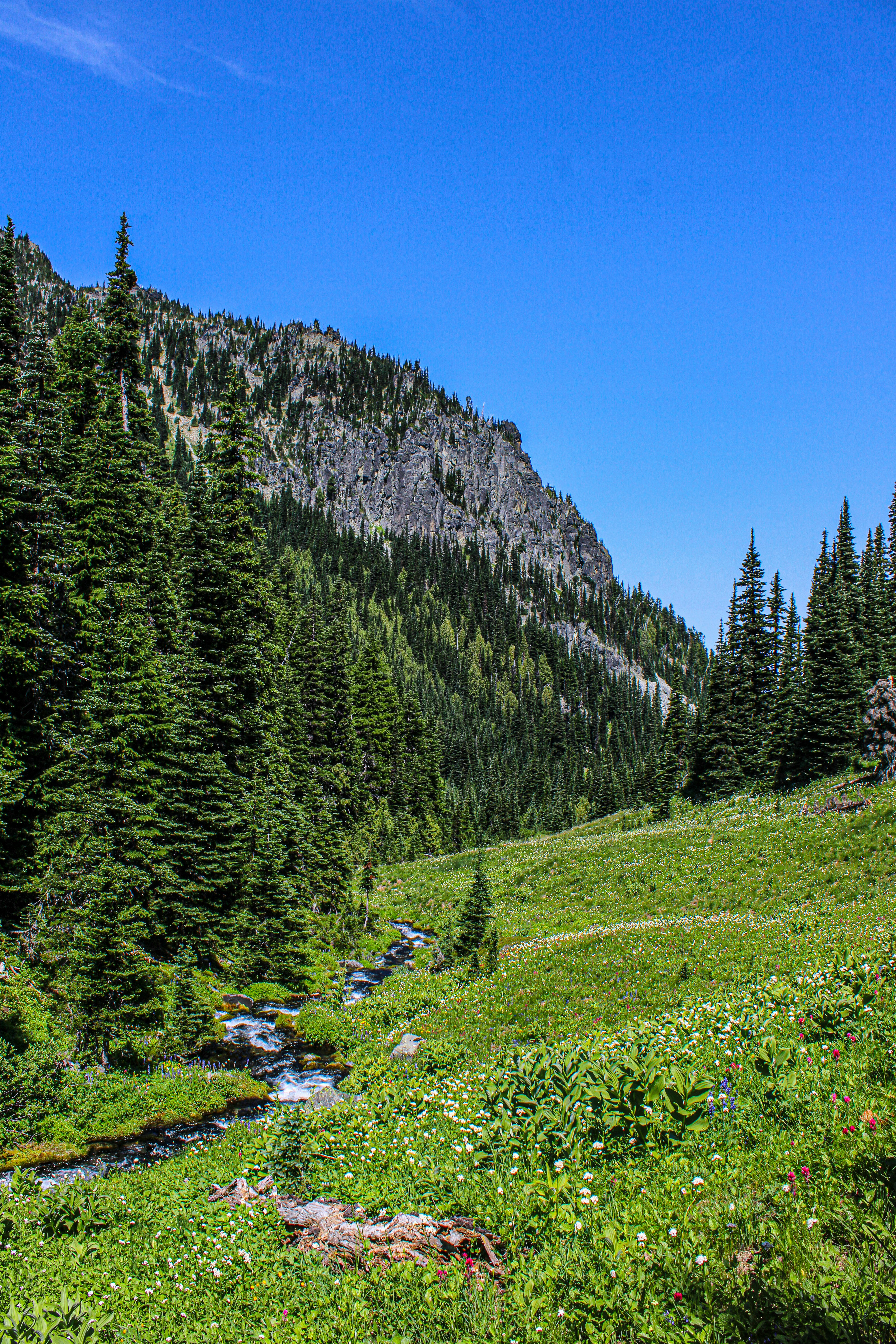 Photo by prphotography262