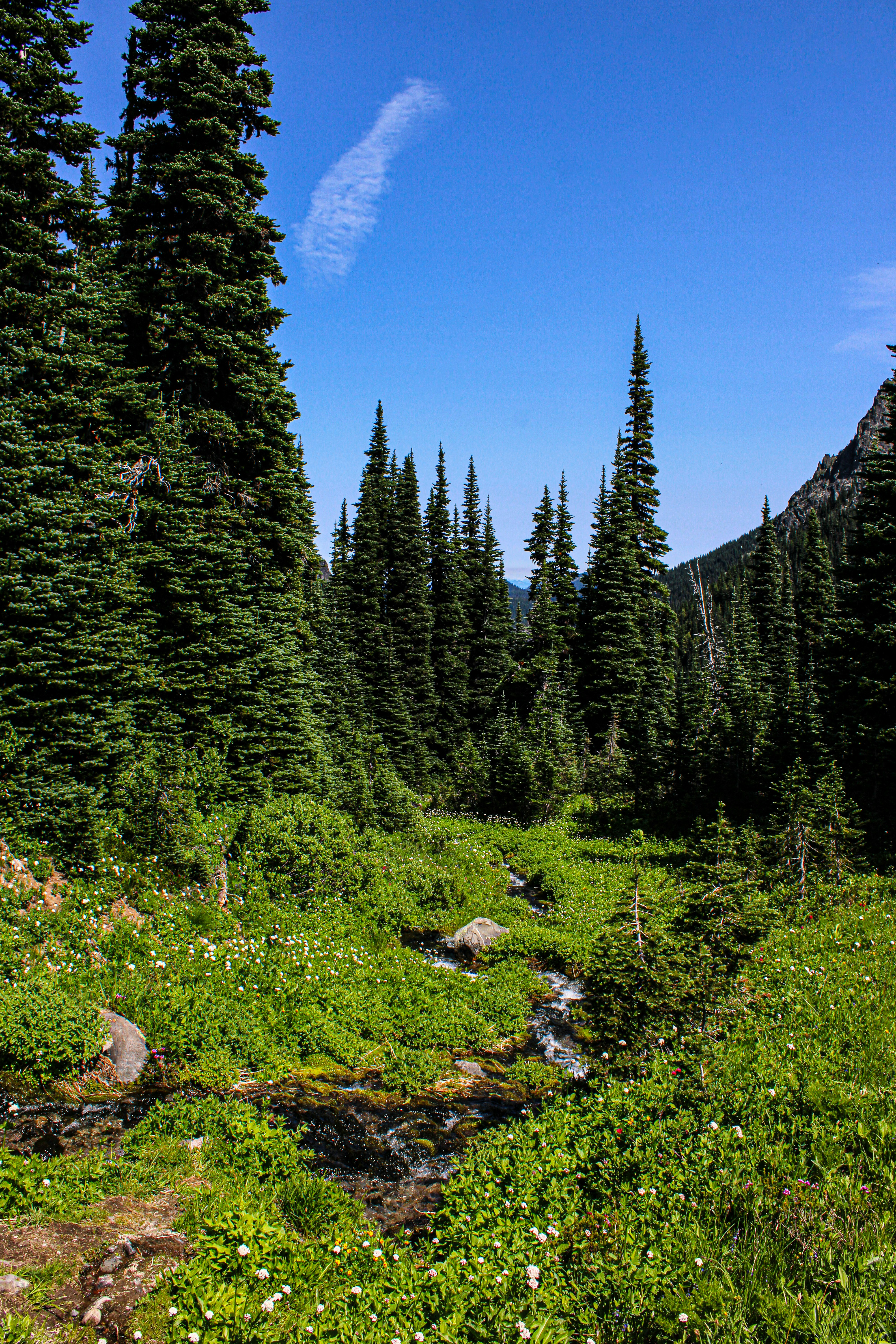 Photo by prphotography262