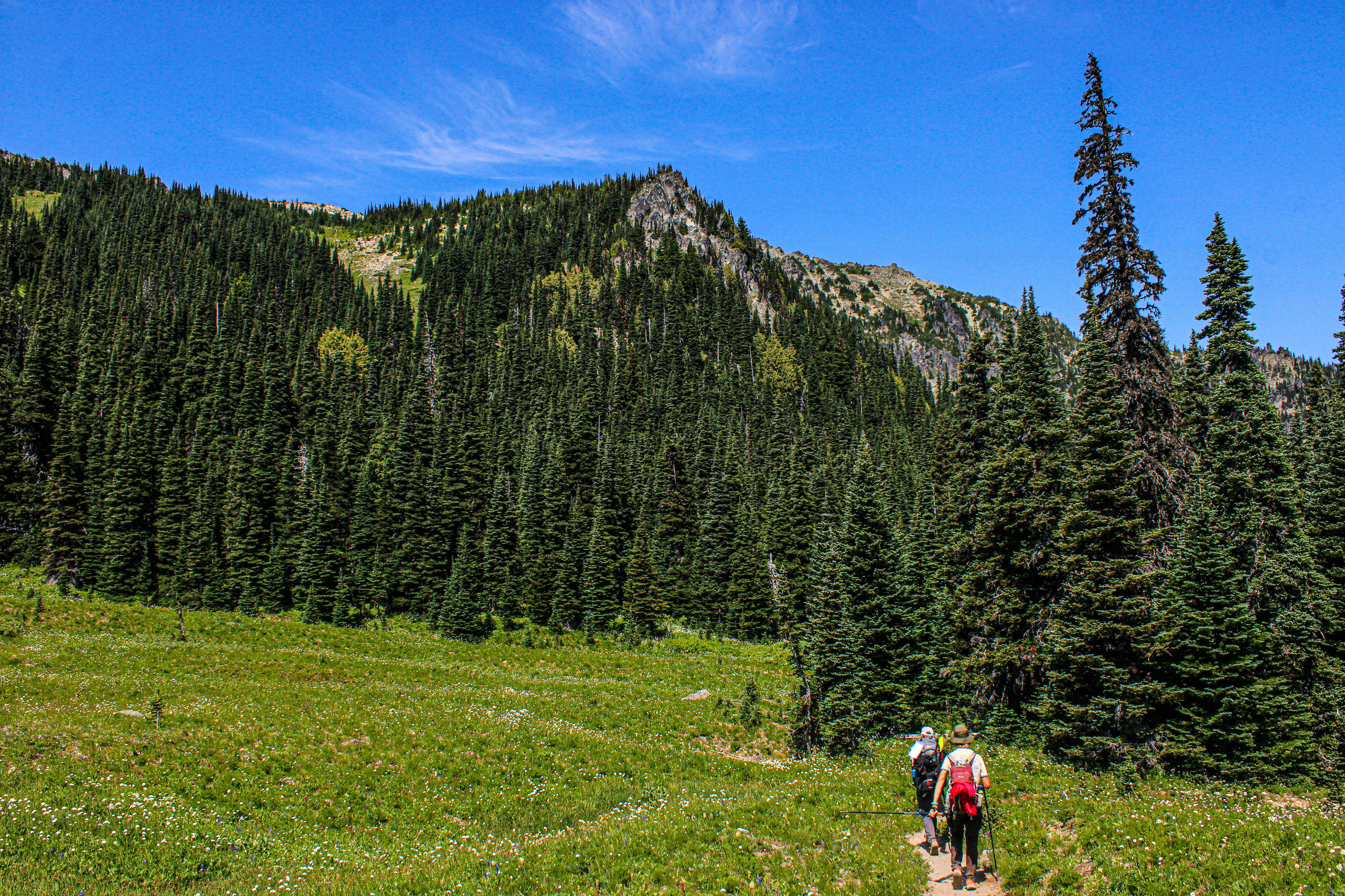 A couple of people that are walking in the grass
