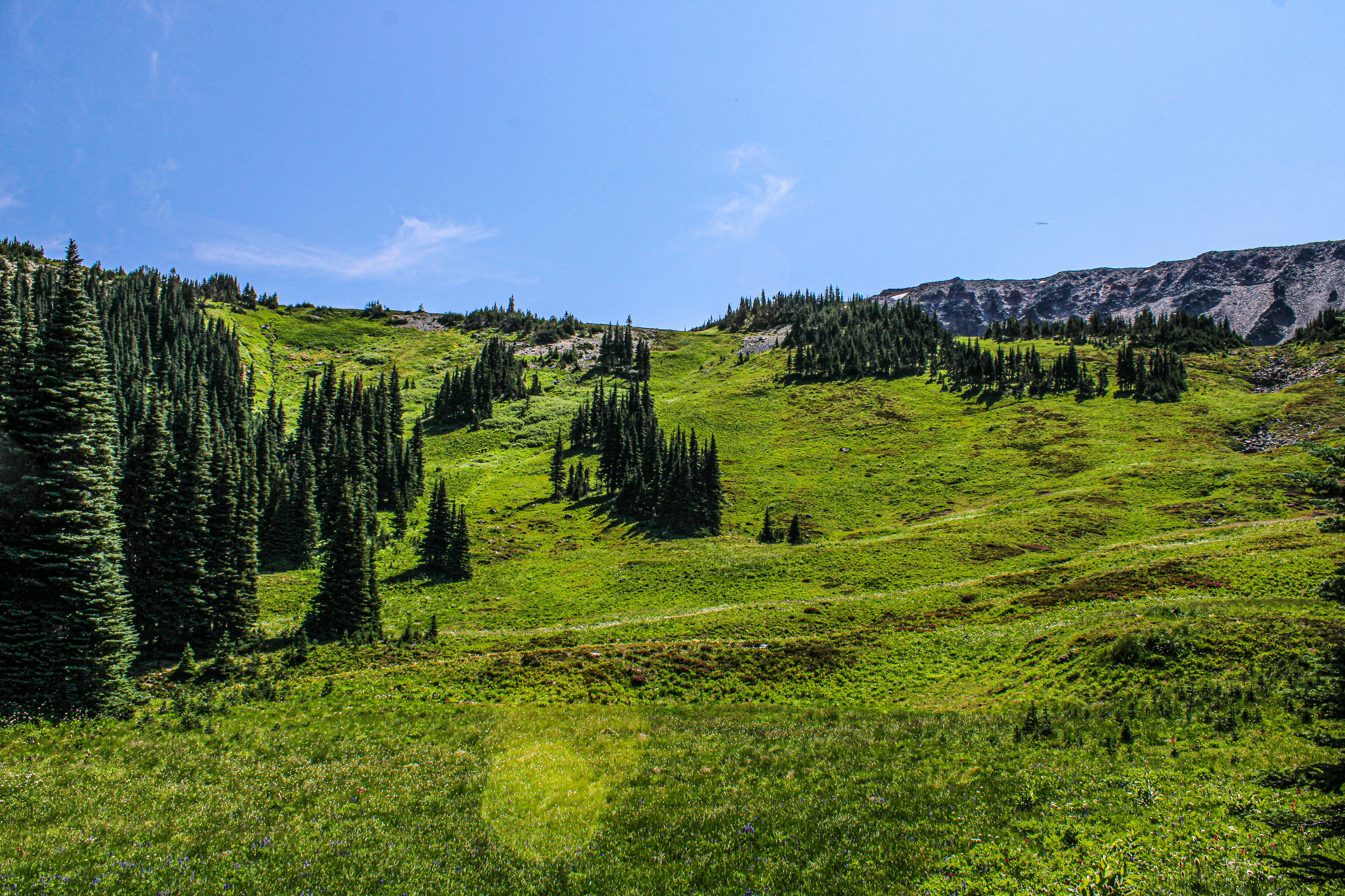 Photo by prphotography262