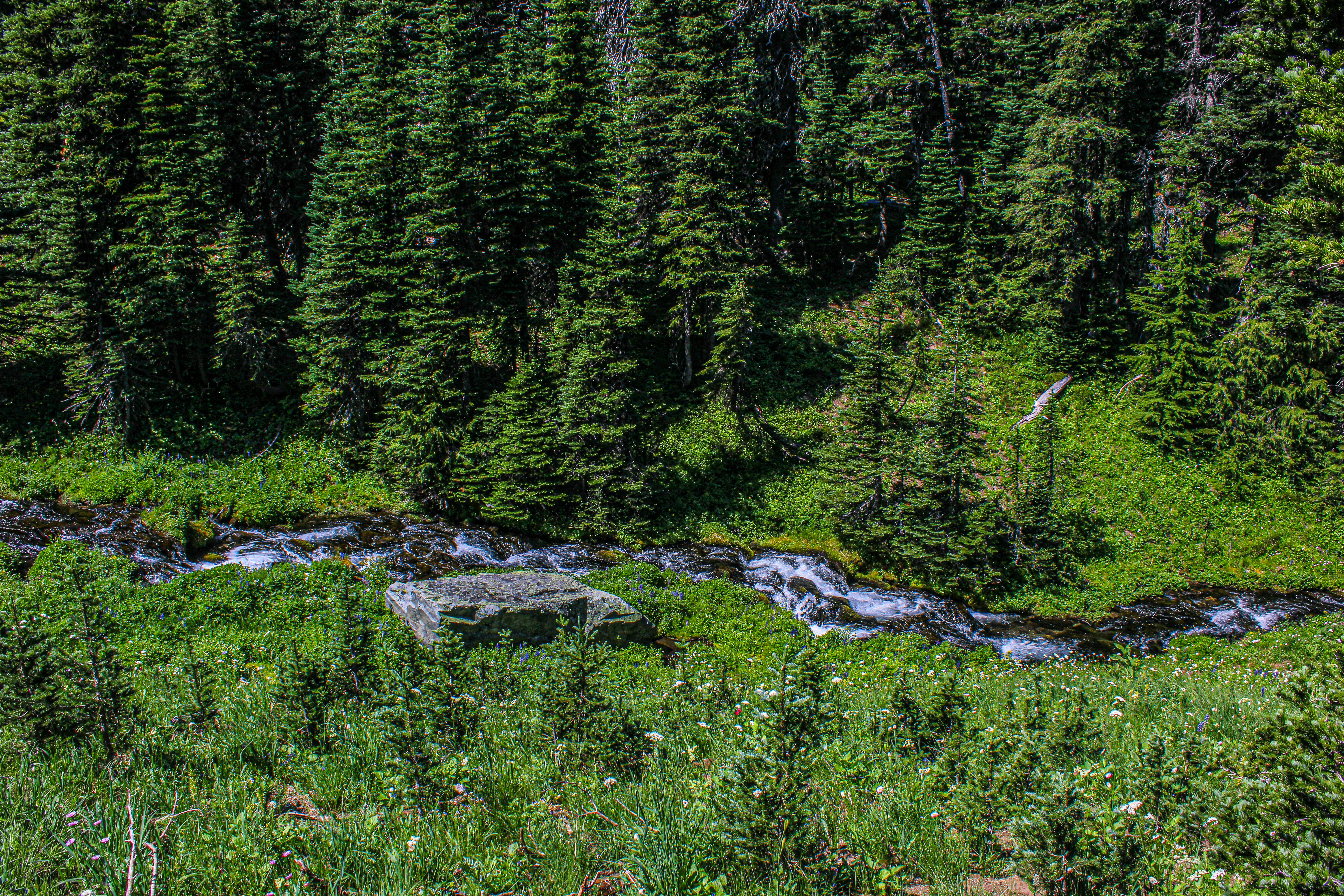 Photo by prphotography262