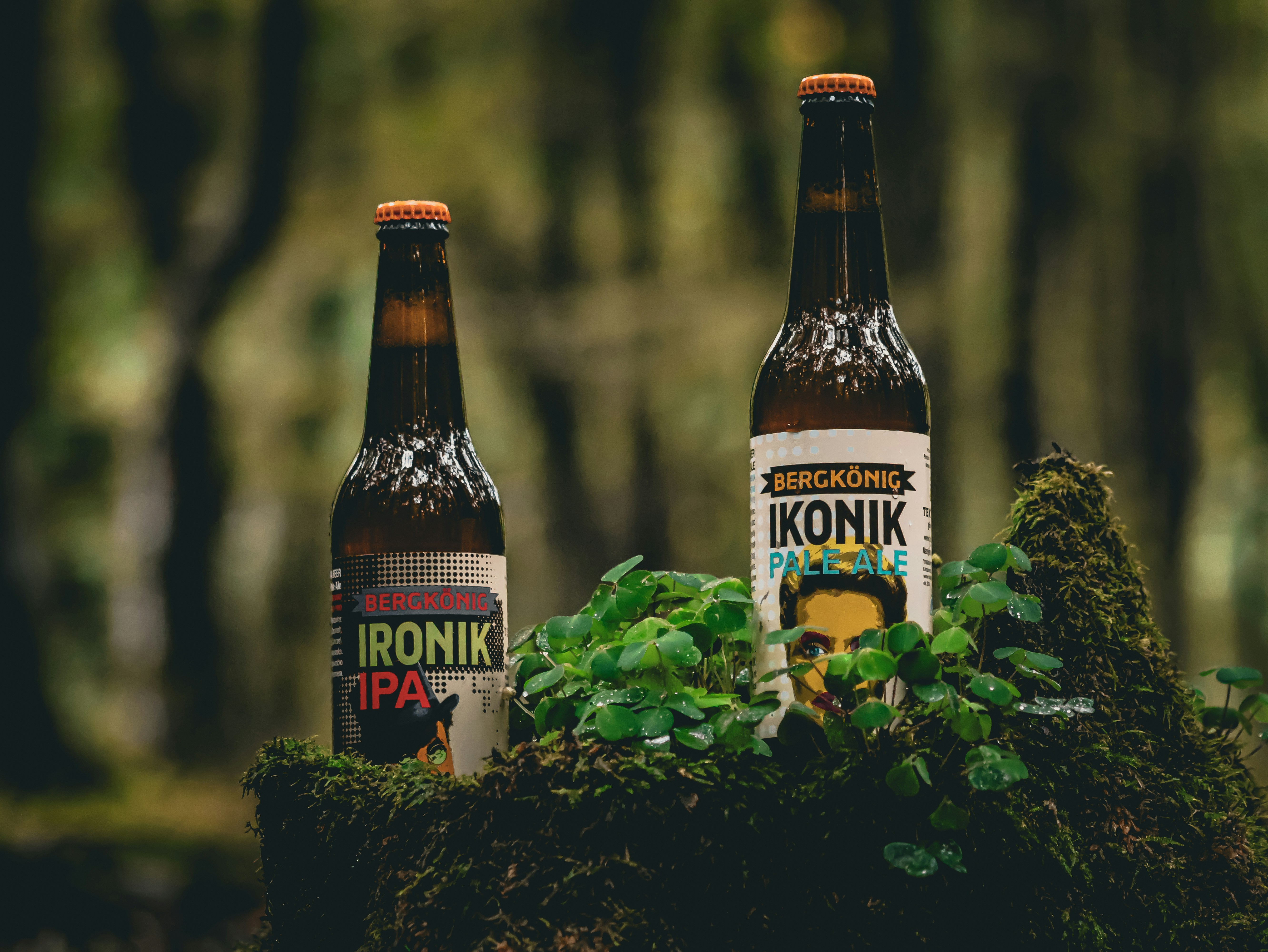 Three beer bottles sitting on top of a tree stump
