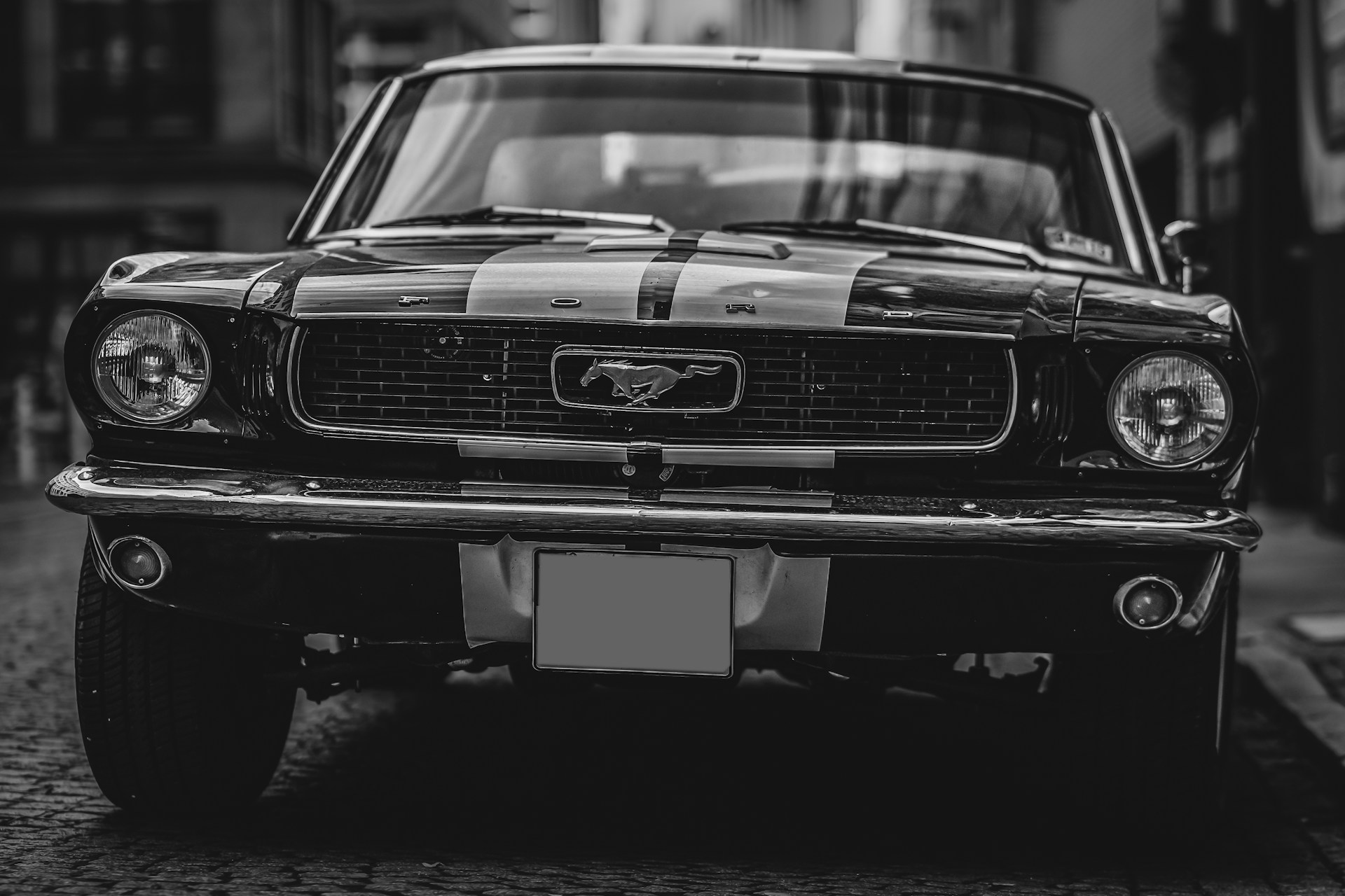 A black and white photo of a mustang