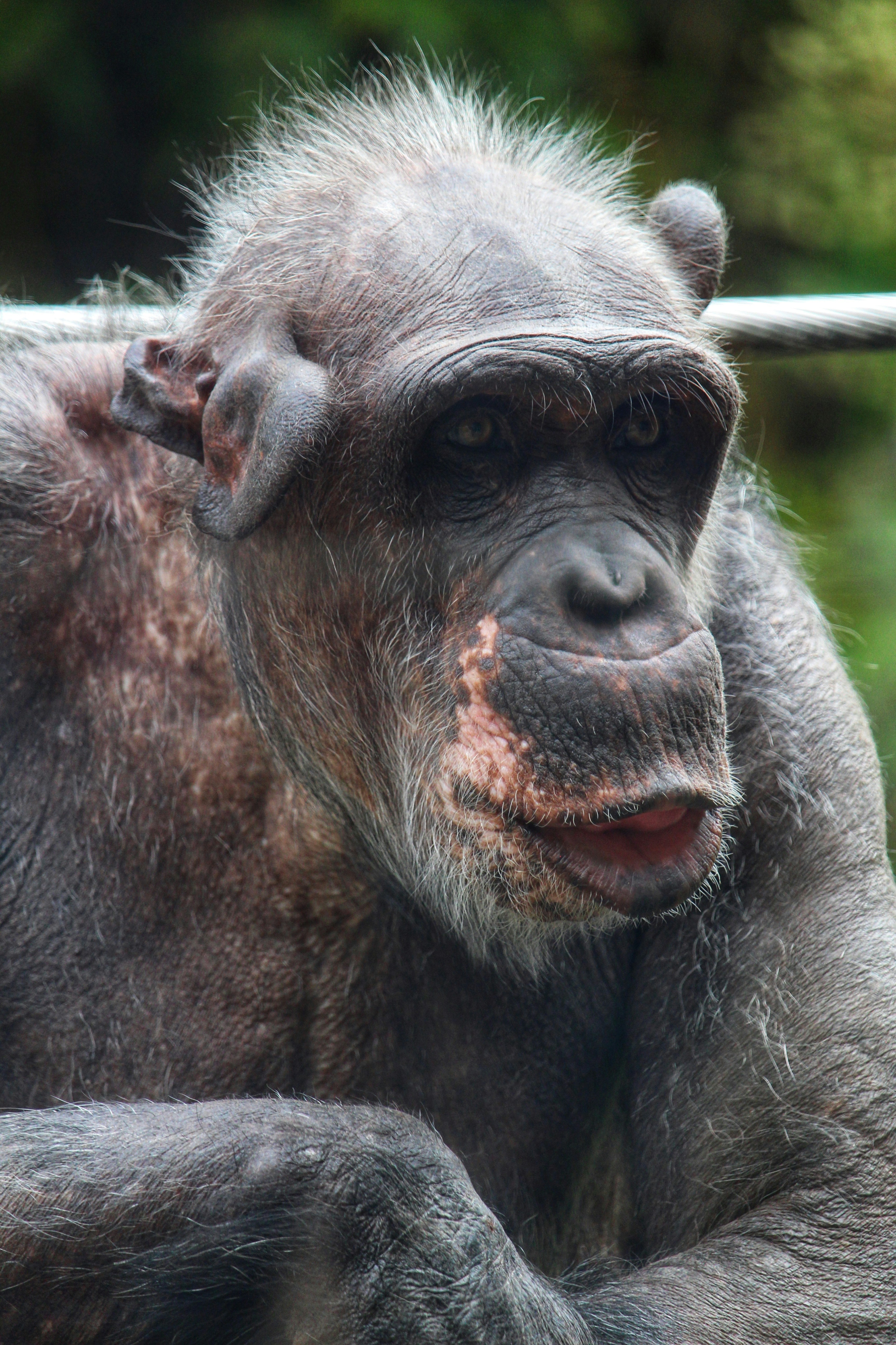 Photo by travel_with_yafee98