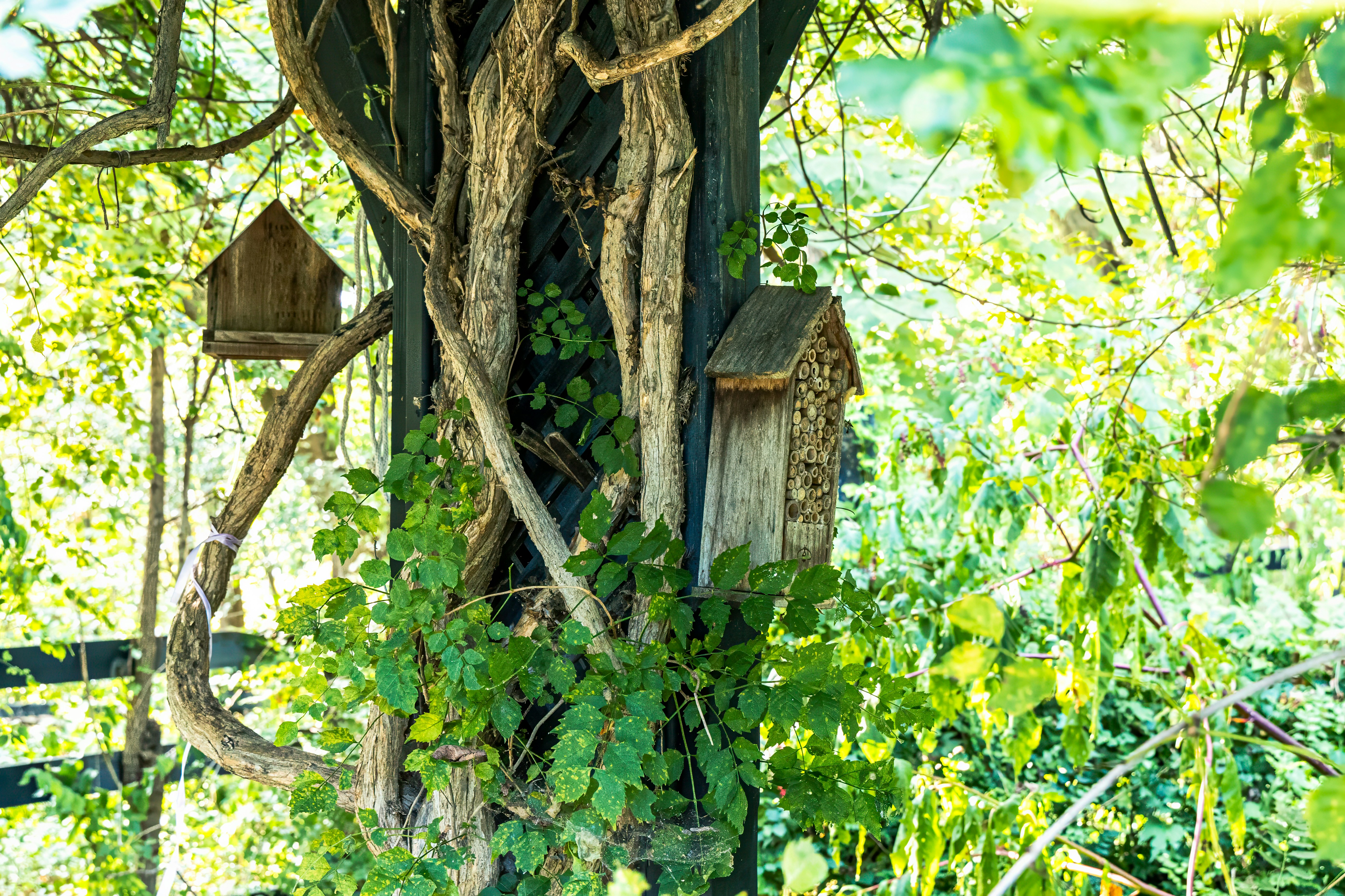 Photo by jasongooljar24