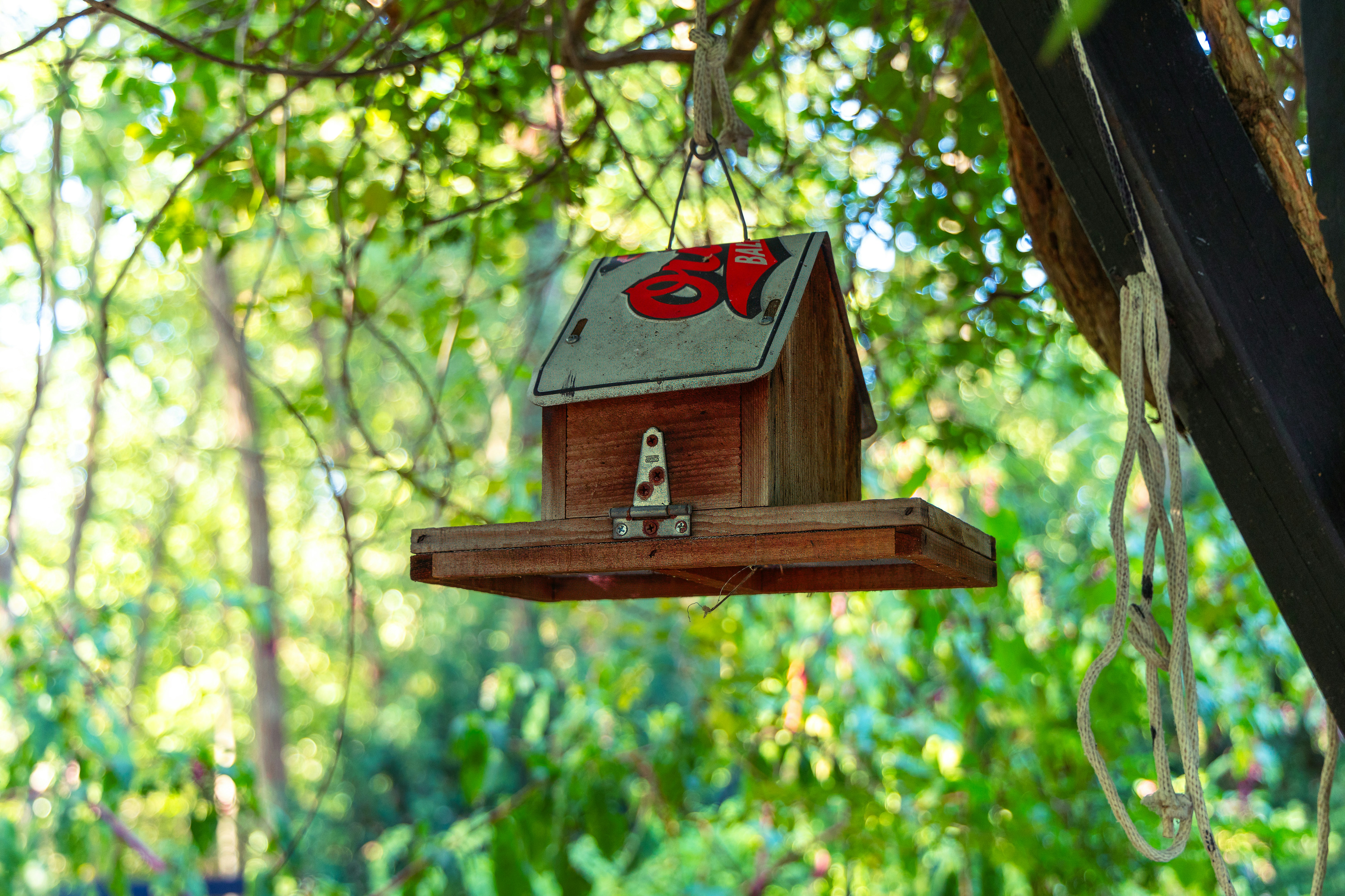 Photo by jasongooljar24