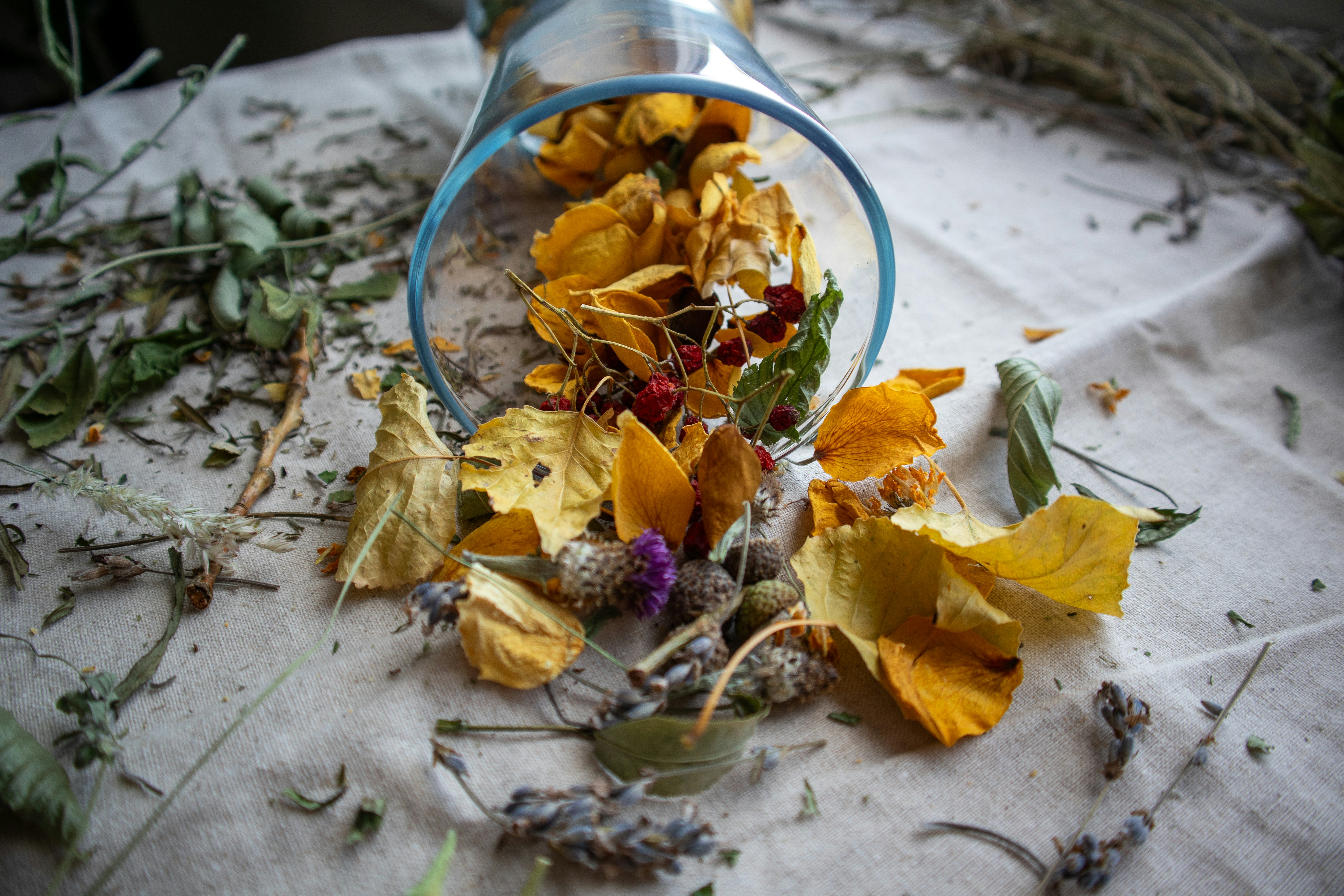 Photo by margarita30