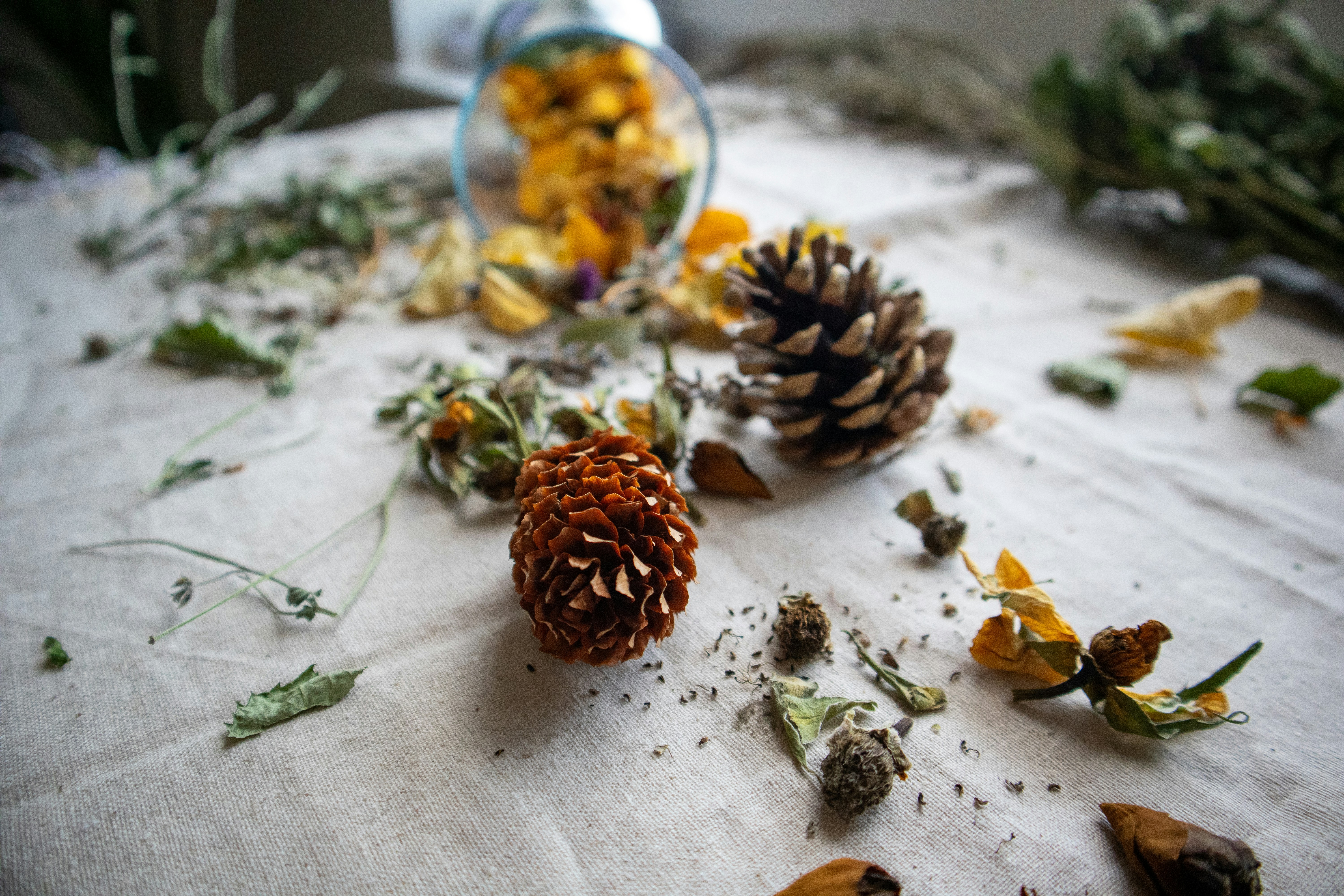 Photo by margarita30